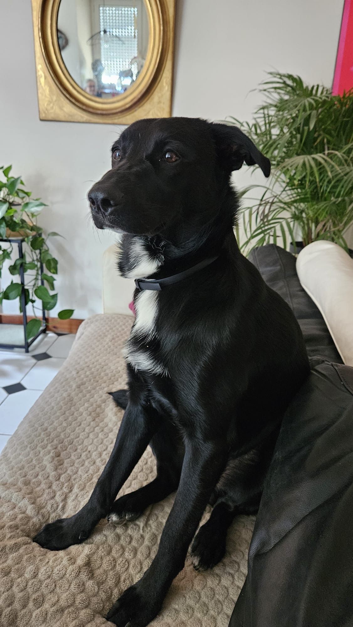 U2 - 31B Rue de la Ville Tourault, Plérin