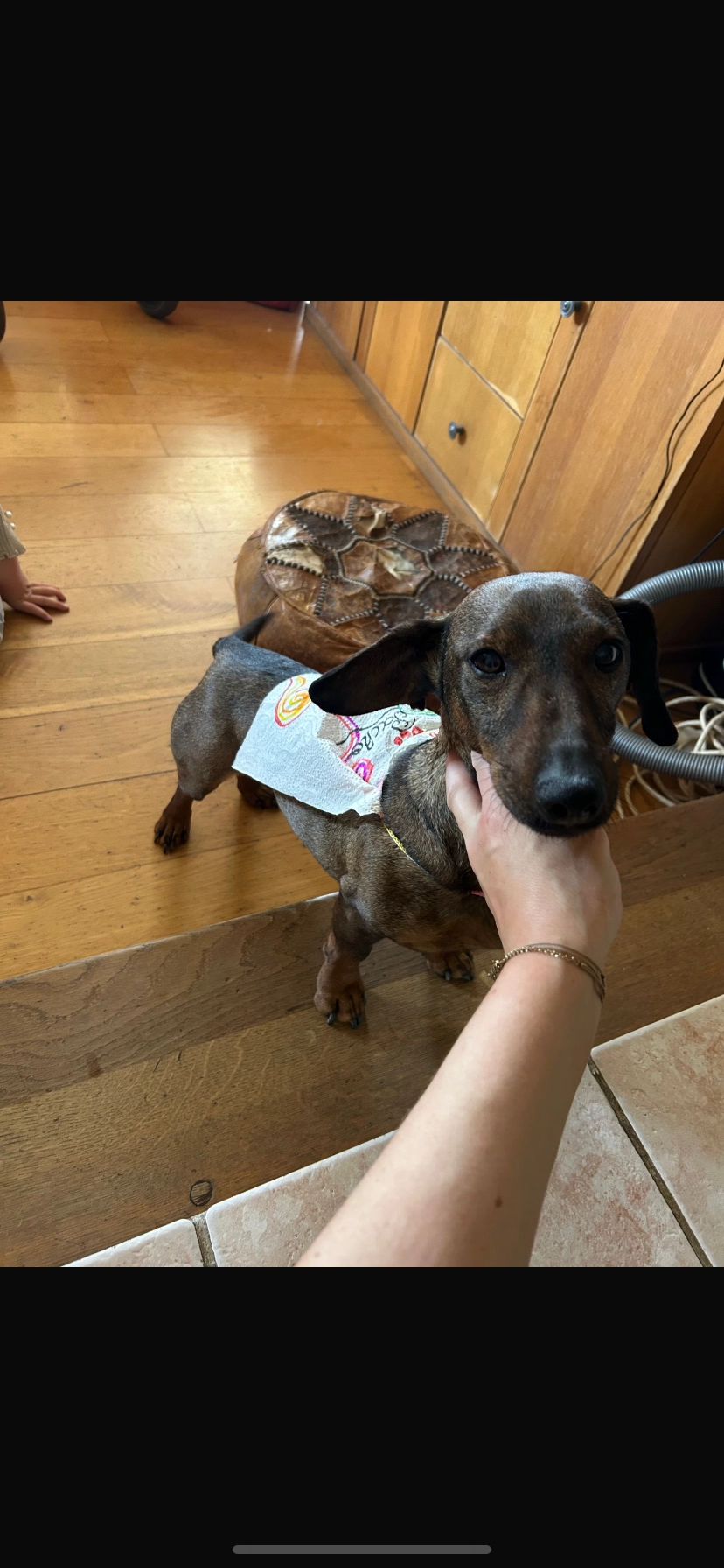 Patcho  - Rue de la 1ère Armée, Bethoncourt