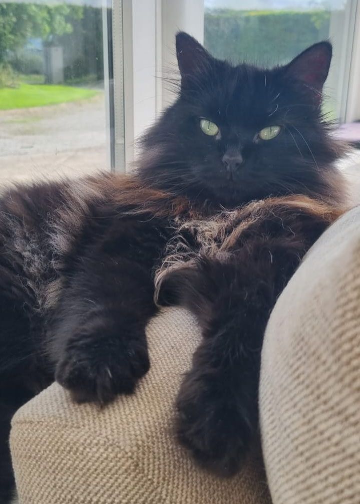 Jade - Barrack Hill,, Killurin, Wexford, Ireland