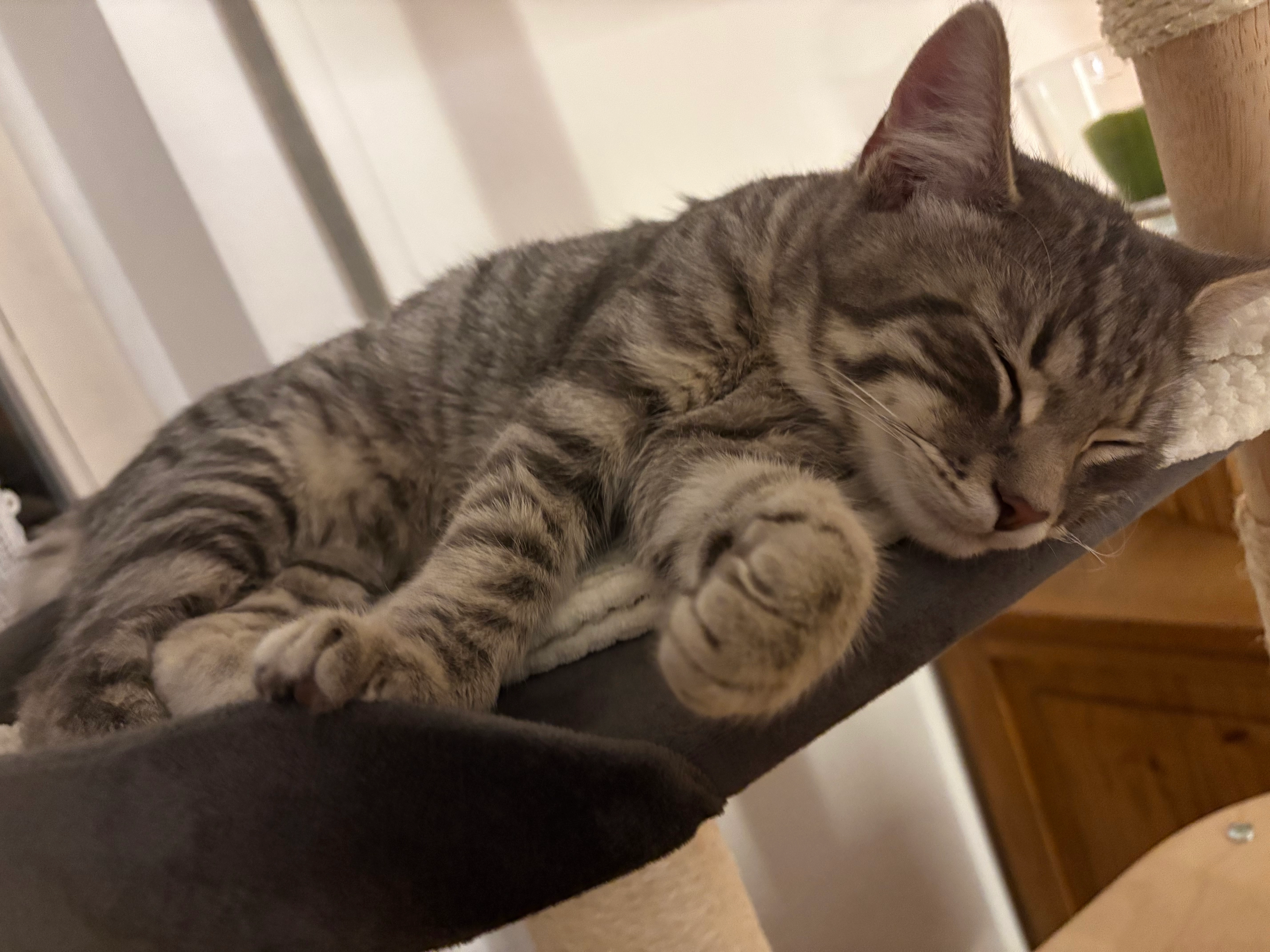 Hades  - Kirchplatz, Antdorf