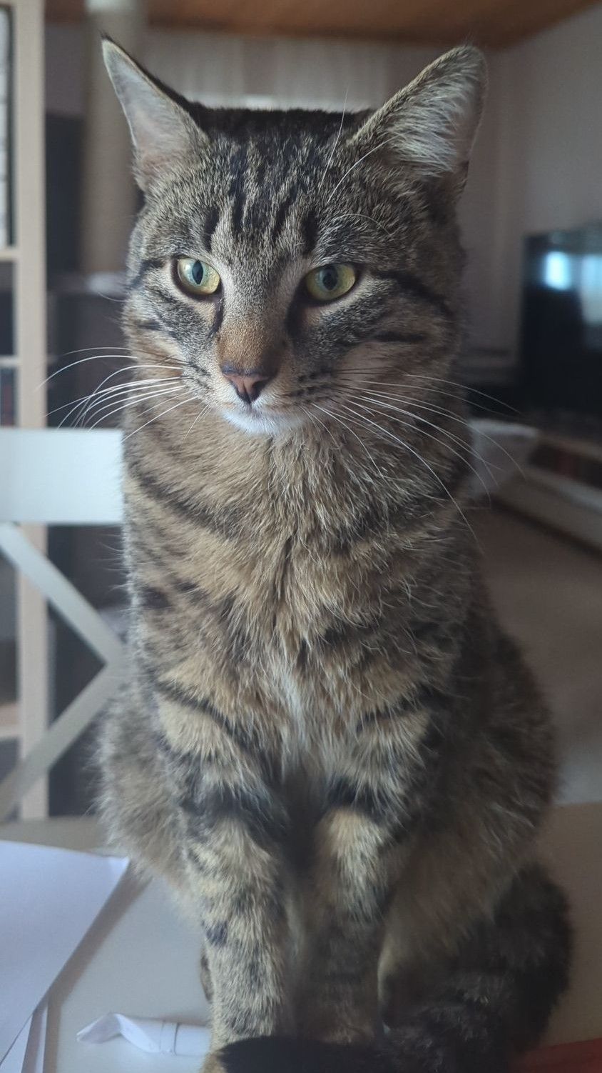 Happy - Eichenweg, Heroldstatt