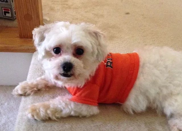 Max - 500 Black Kettle Ln, Alpharetta