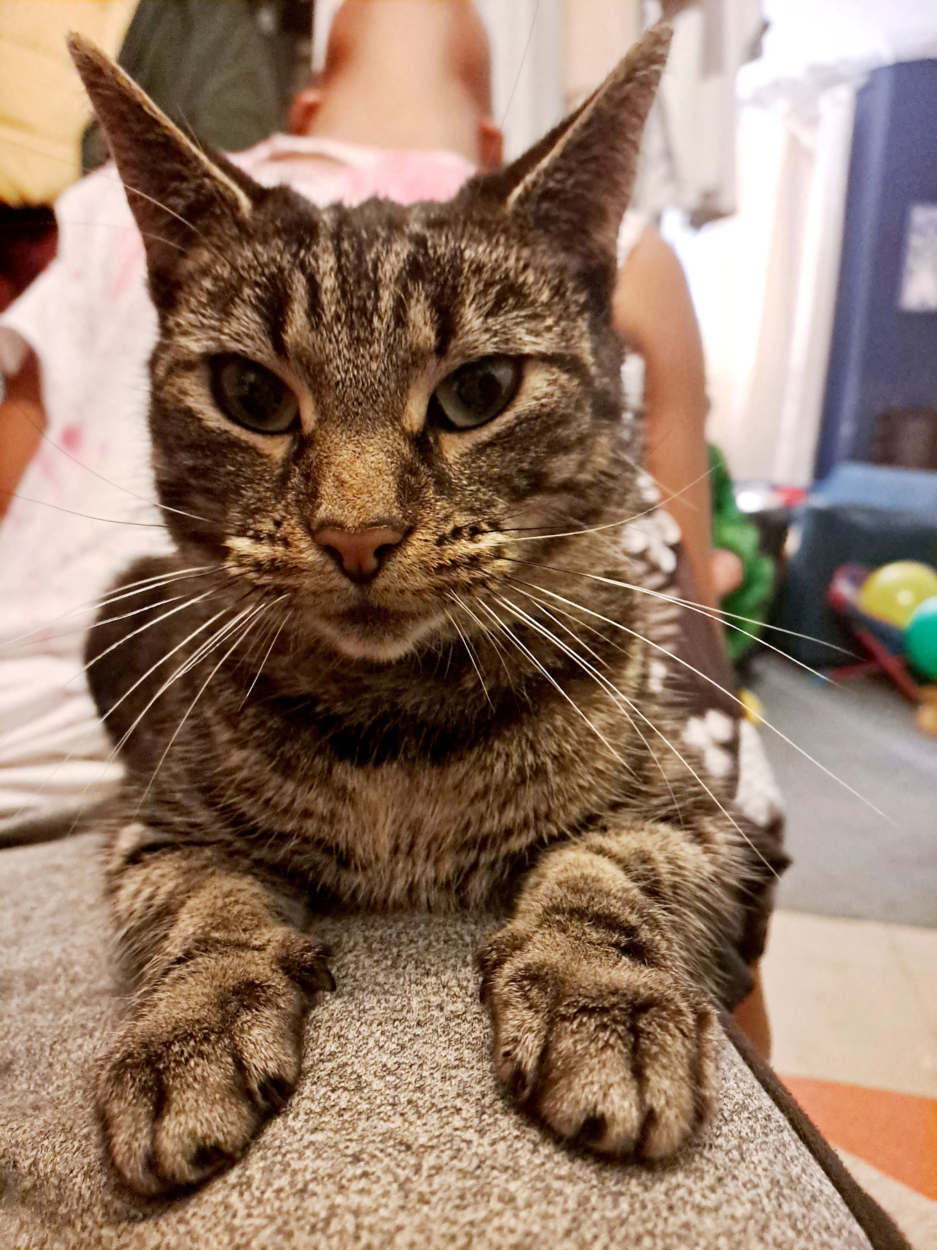 Karen - Wordsworth Street, Bootle