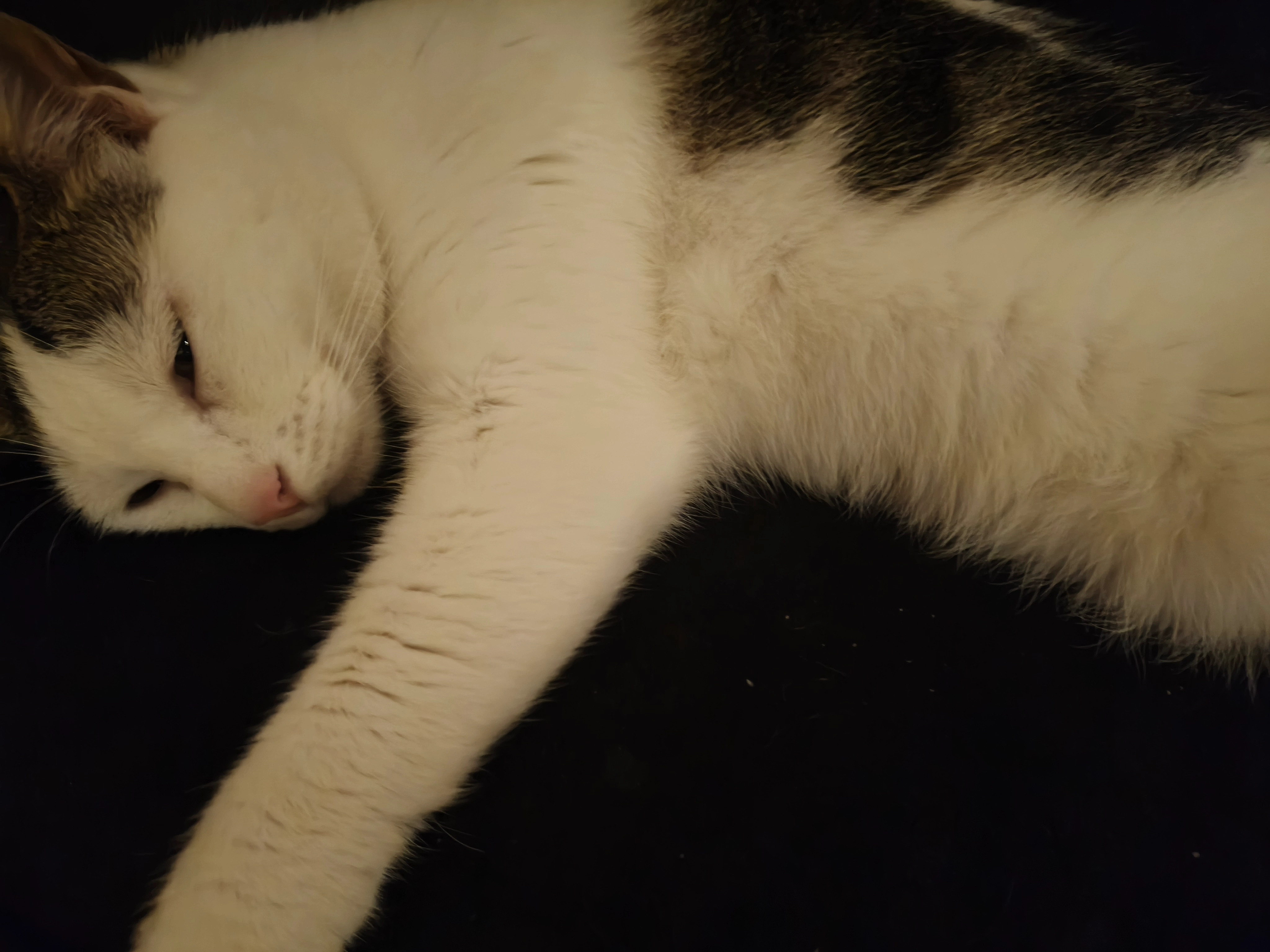 Pichu - Calle de Anna Frank, Valdemoro