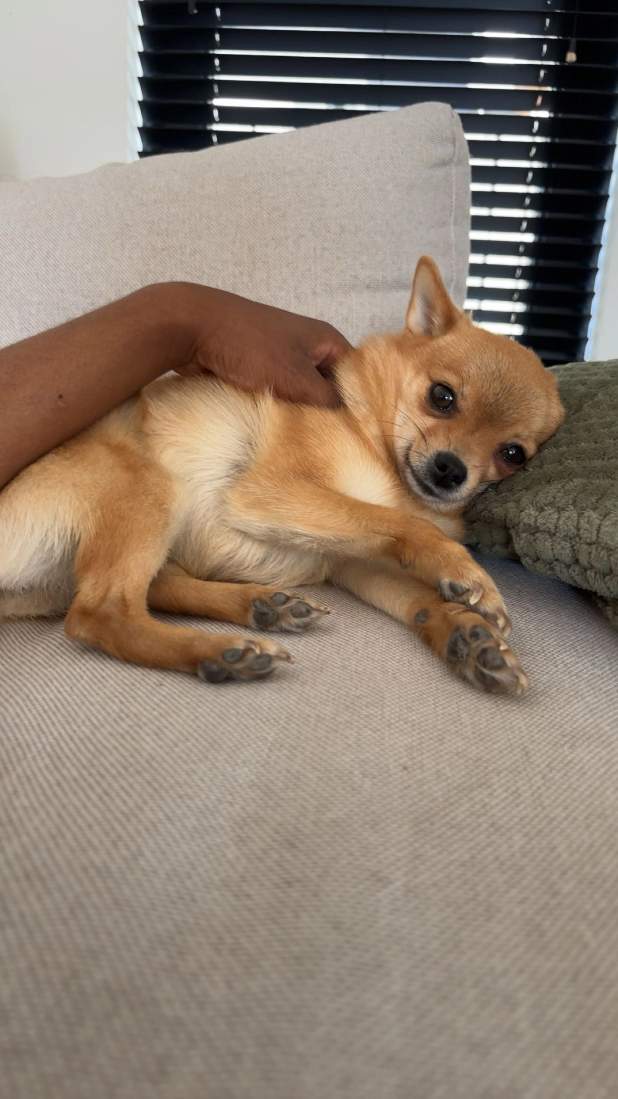 Nala - Nijverheidsweg, Rhoon