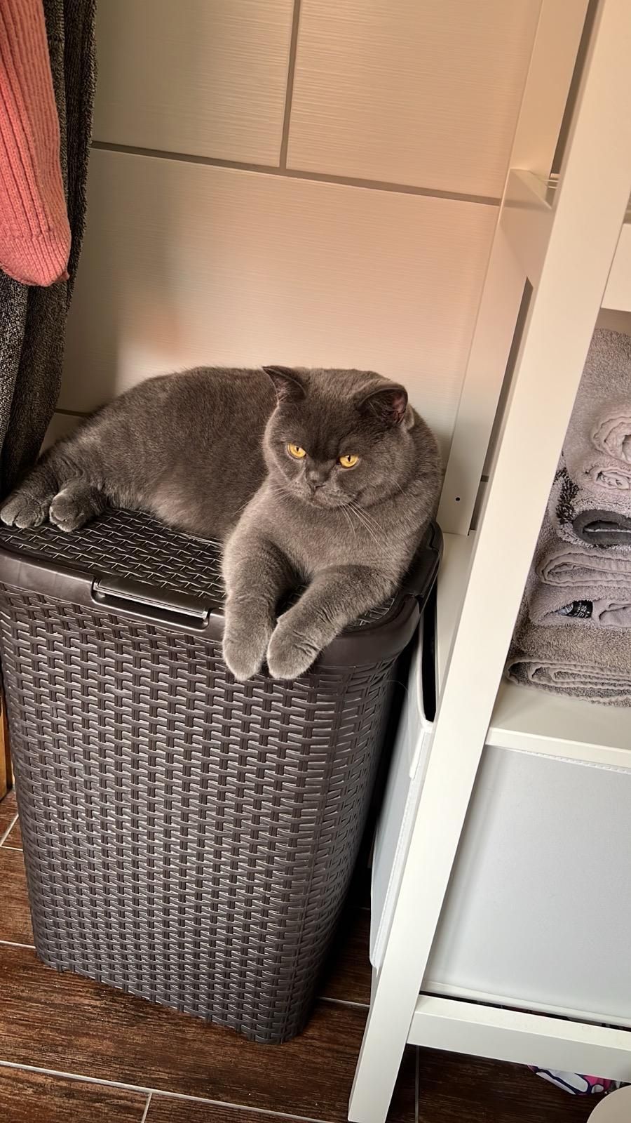 Carlo - Werrastraße, Moormerland