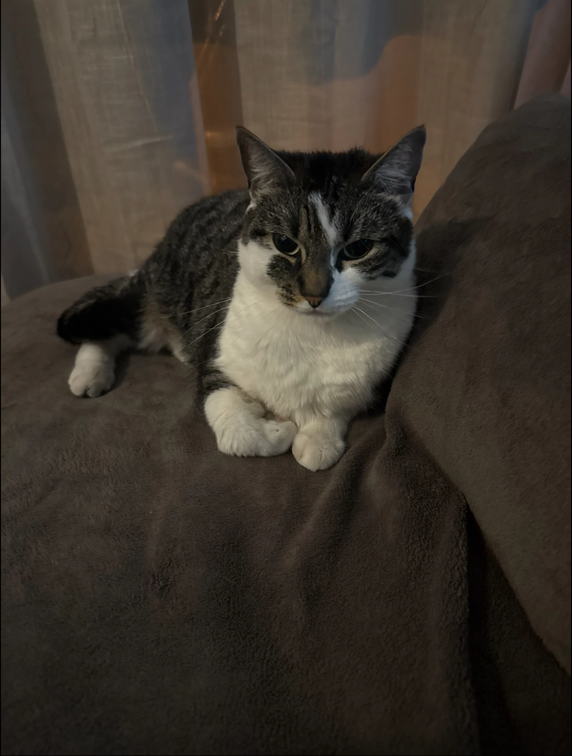 Sushi - Rue des Jonquilles, Avignon