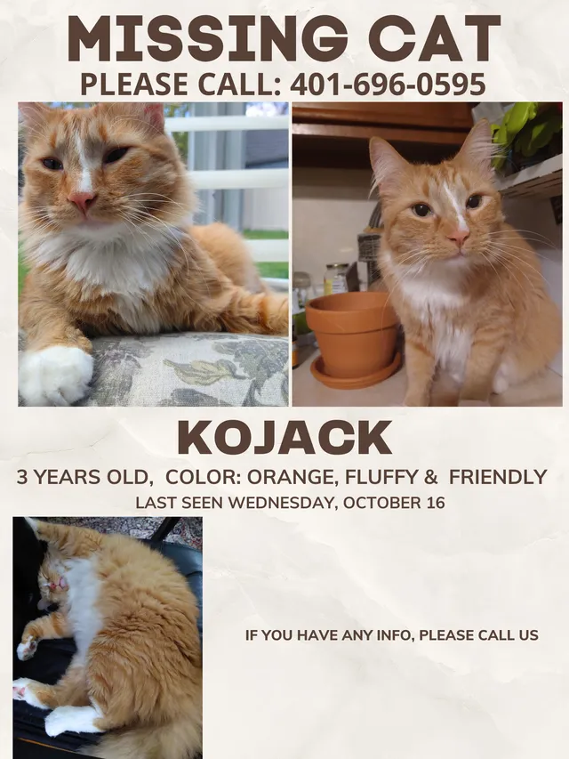 Kojack - Edgewood Blvd, Providence