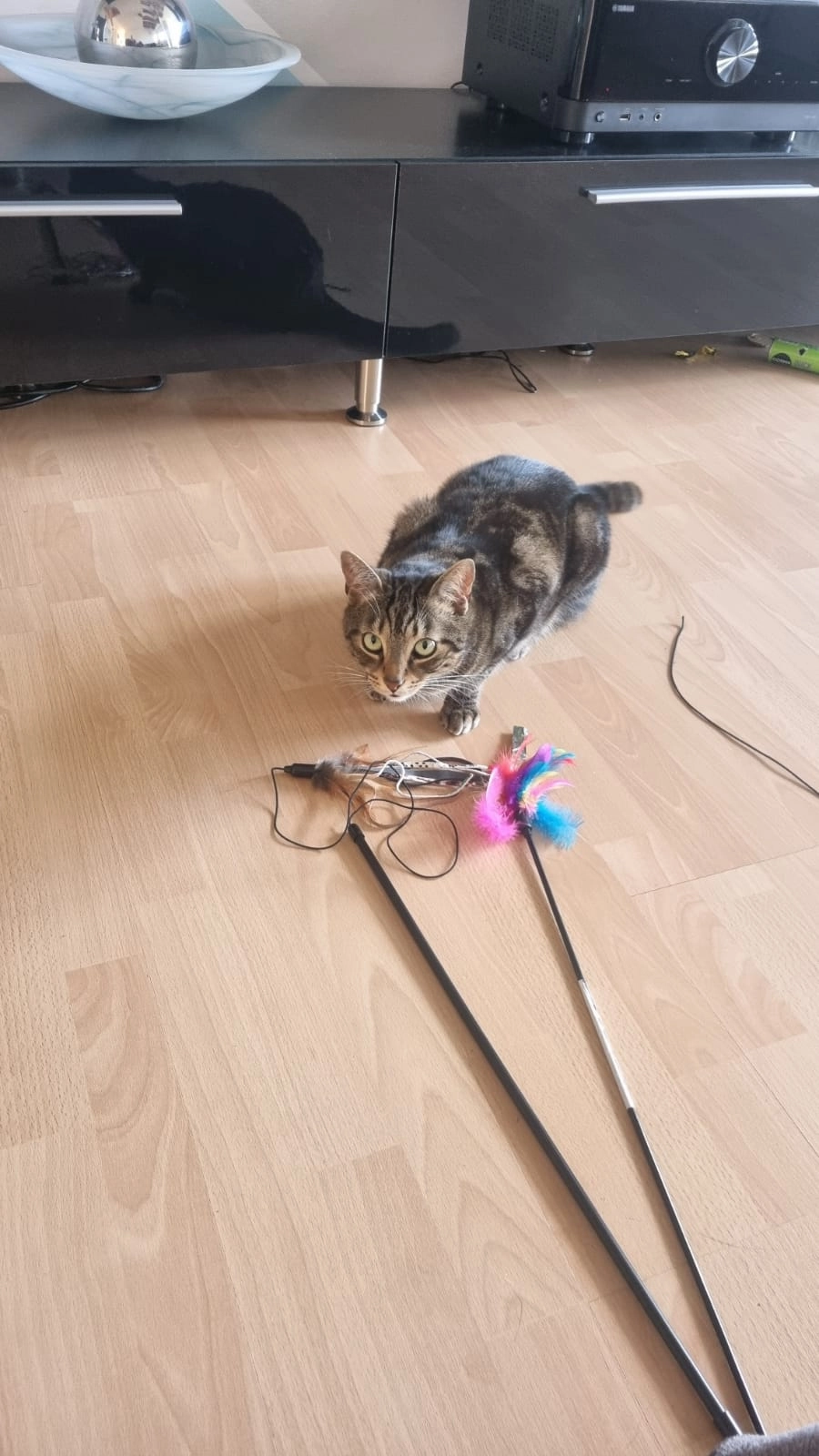 Askyiel und schlack - Zeisigweg, Hirschaid