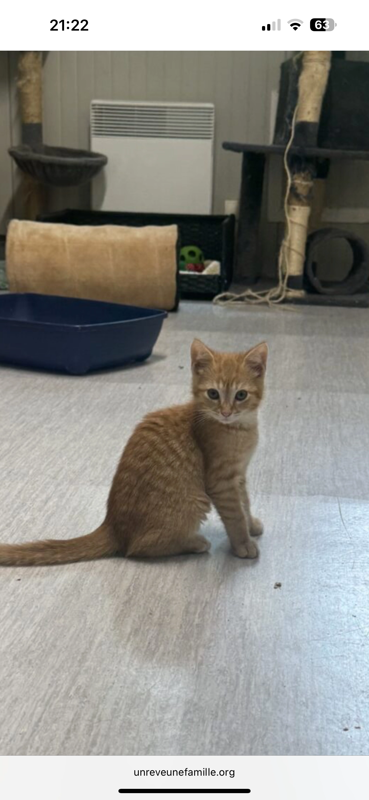 Miu  - 4 Rue de la Gare, Mont-le-Vernois