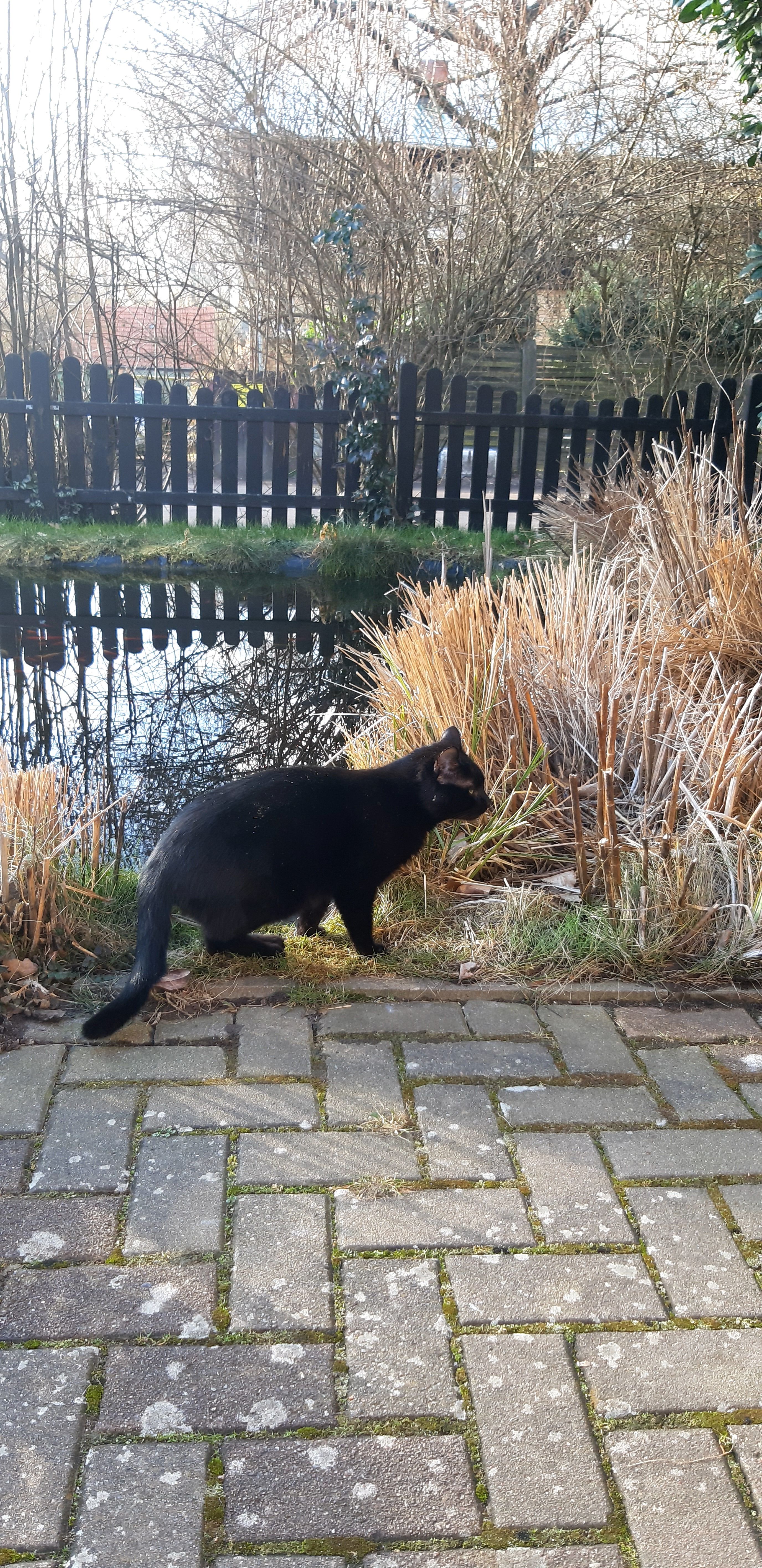 Baggy - Zum Bach, Lalendorf