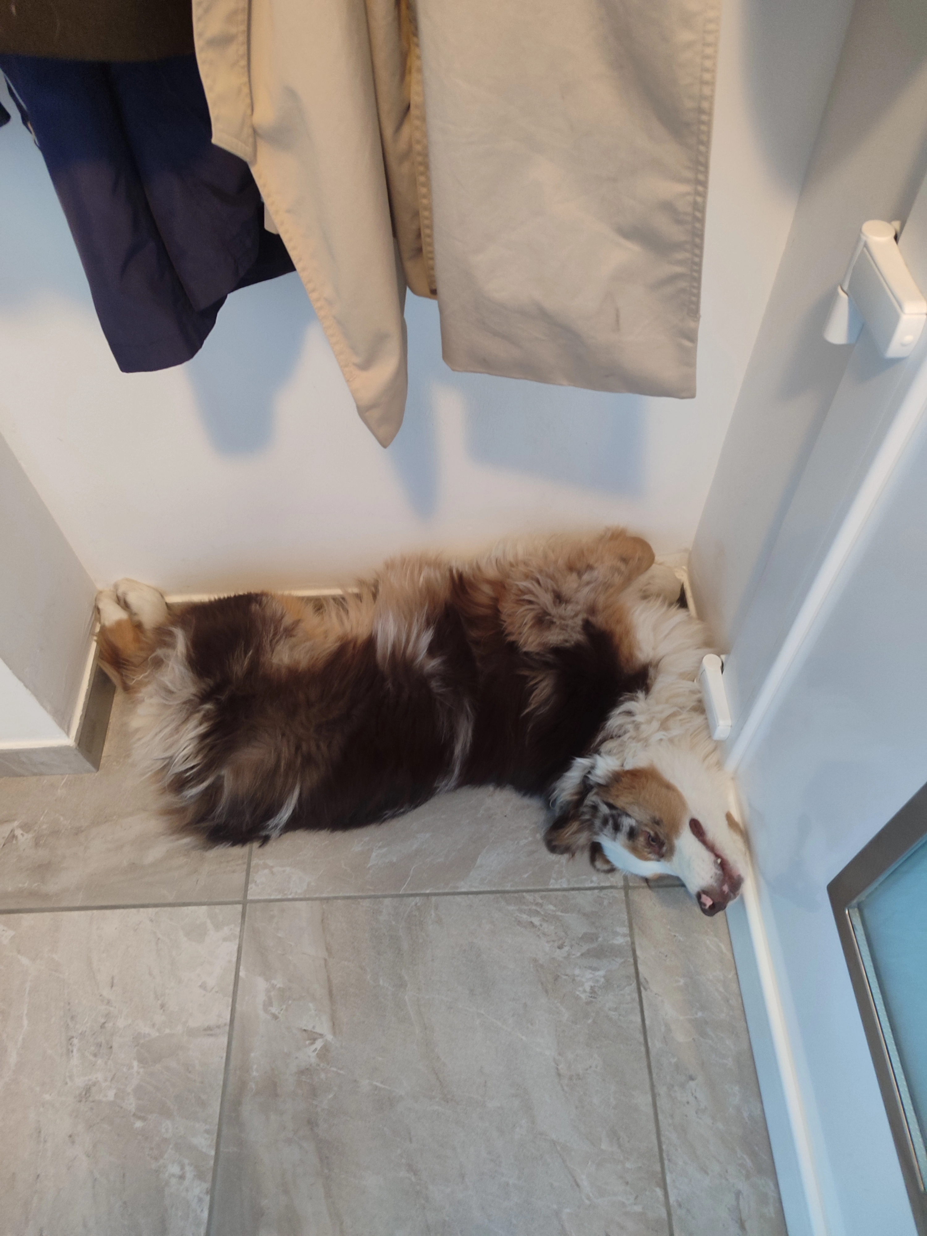 Tarçın,vangog  - Rue De L'aqueduc, Montfaucon