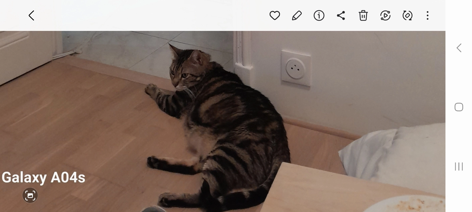 Chourka - 30 Rue du Priou, Seyssins