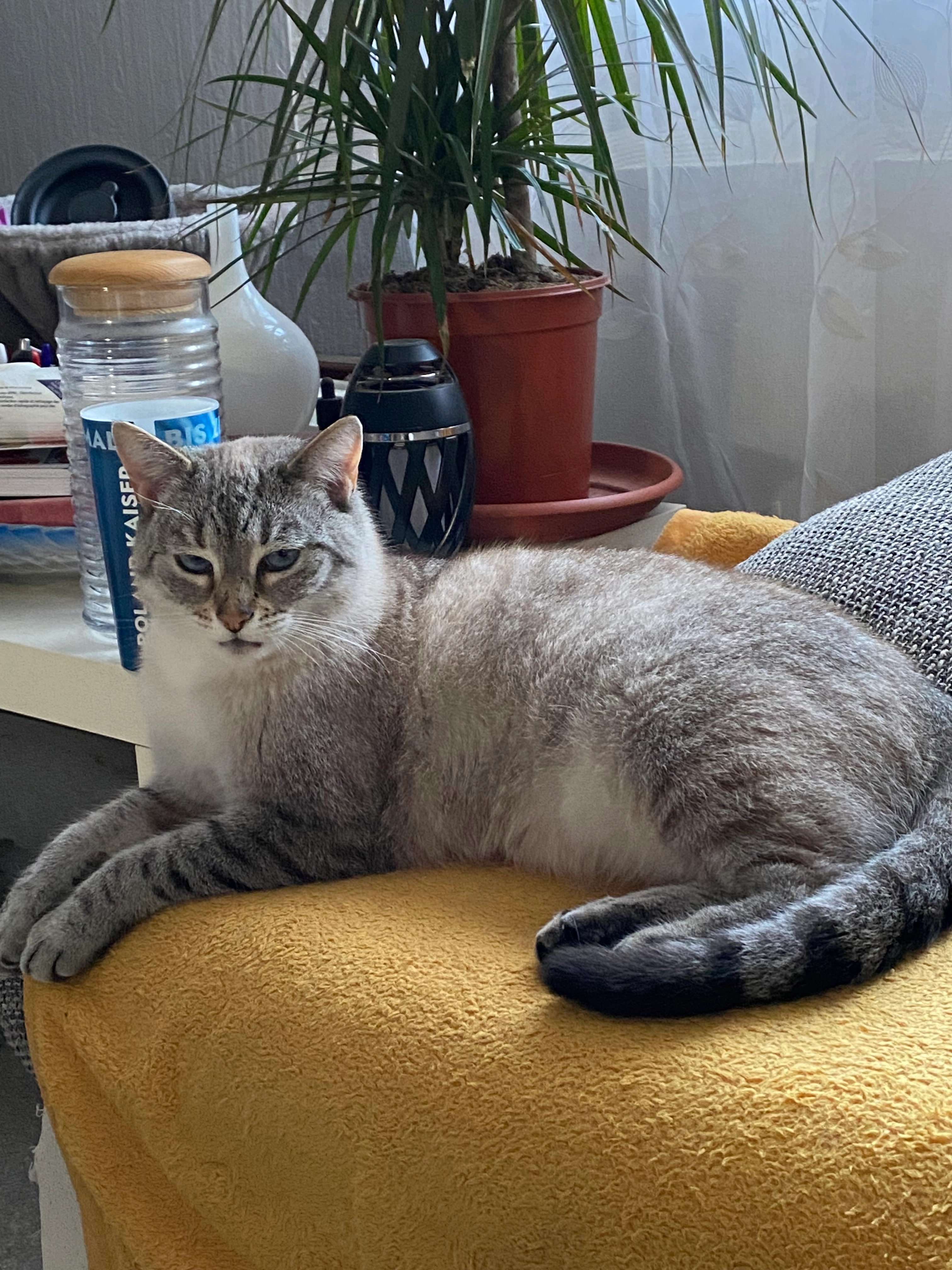 Nala - Hohlste.42, Idar-Oberstein