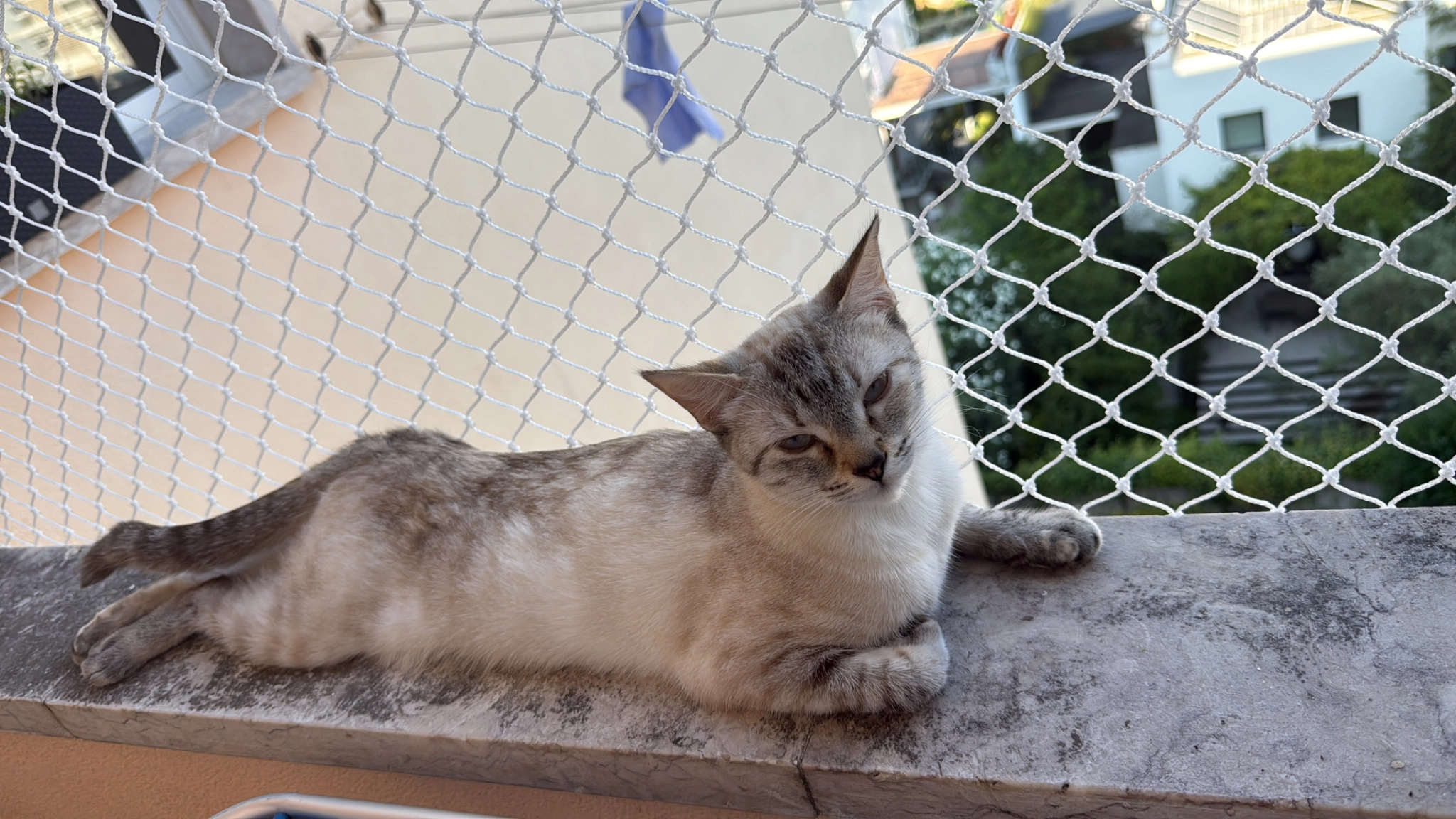 Boo - Avenida do Rio de Janeiro, Alvalade