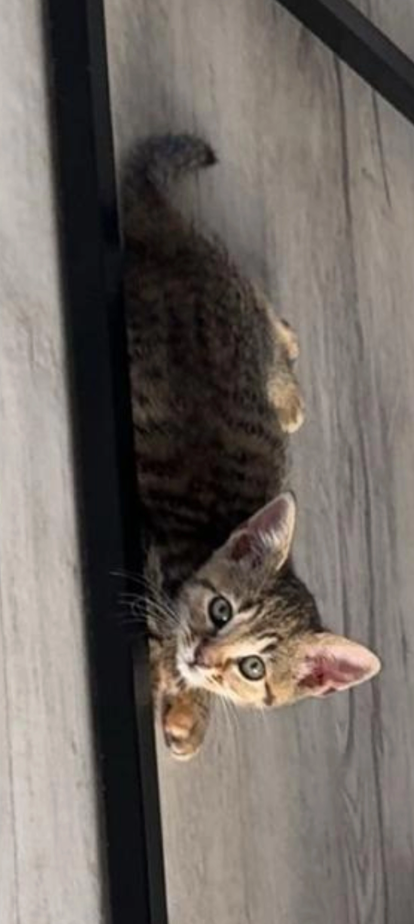 Mellow  - 13 Burns Road, Eastleigh