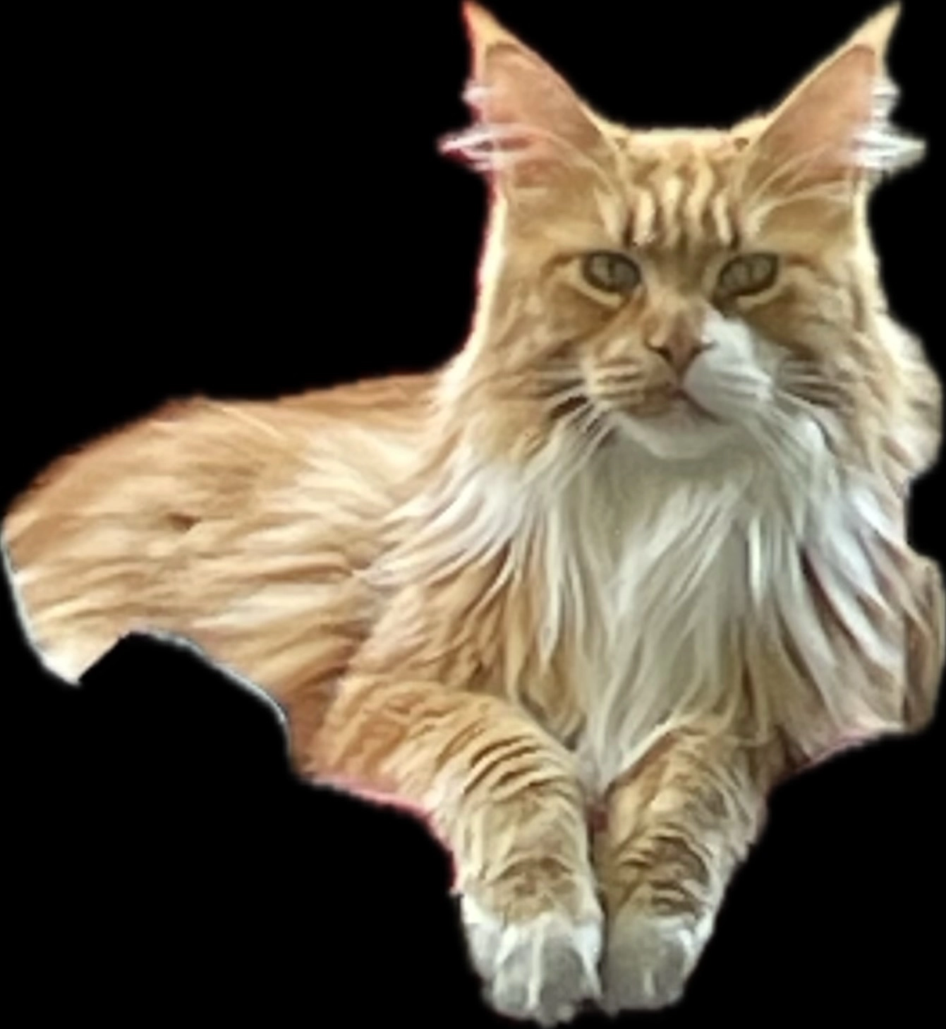 Rayman - 7 Rue Principale, Schiltigheim