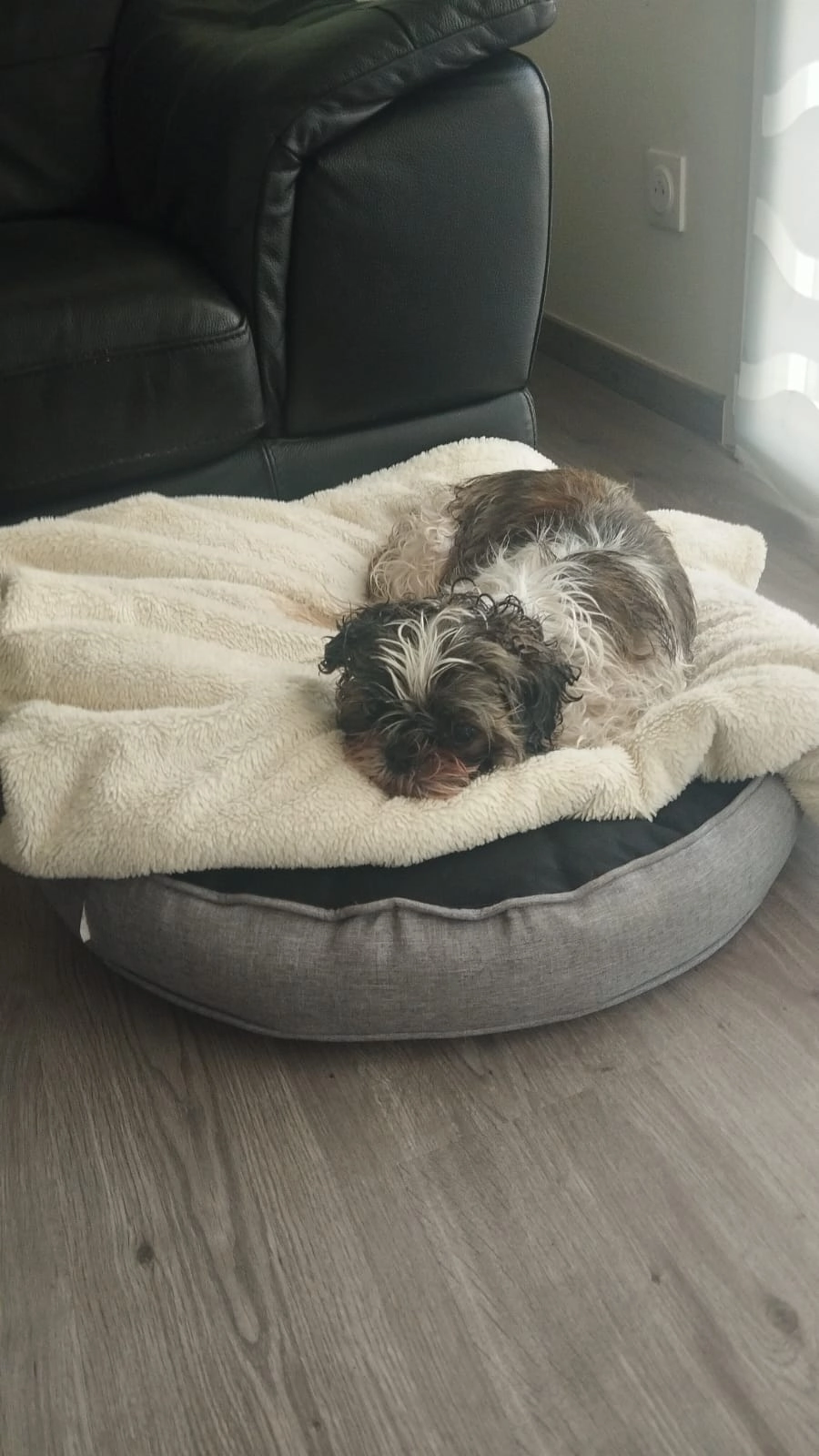 Julia - Rue du Panorama, Darnétal