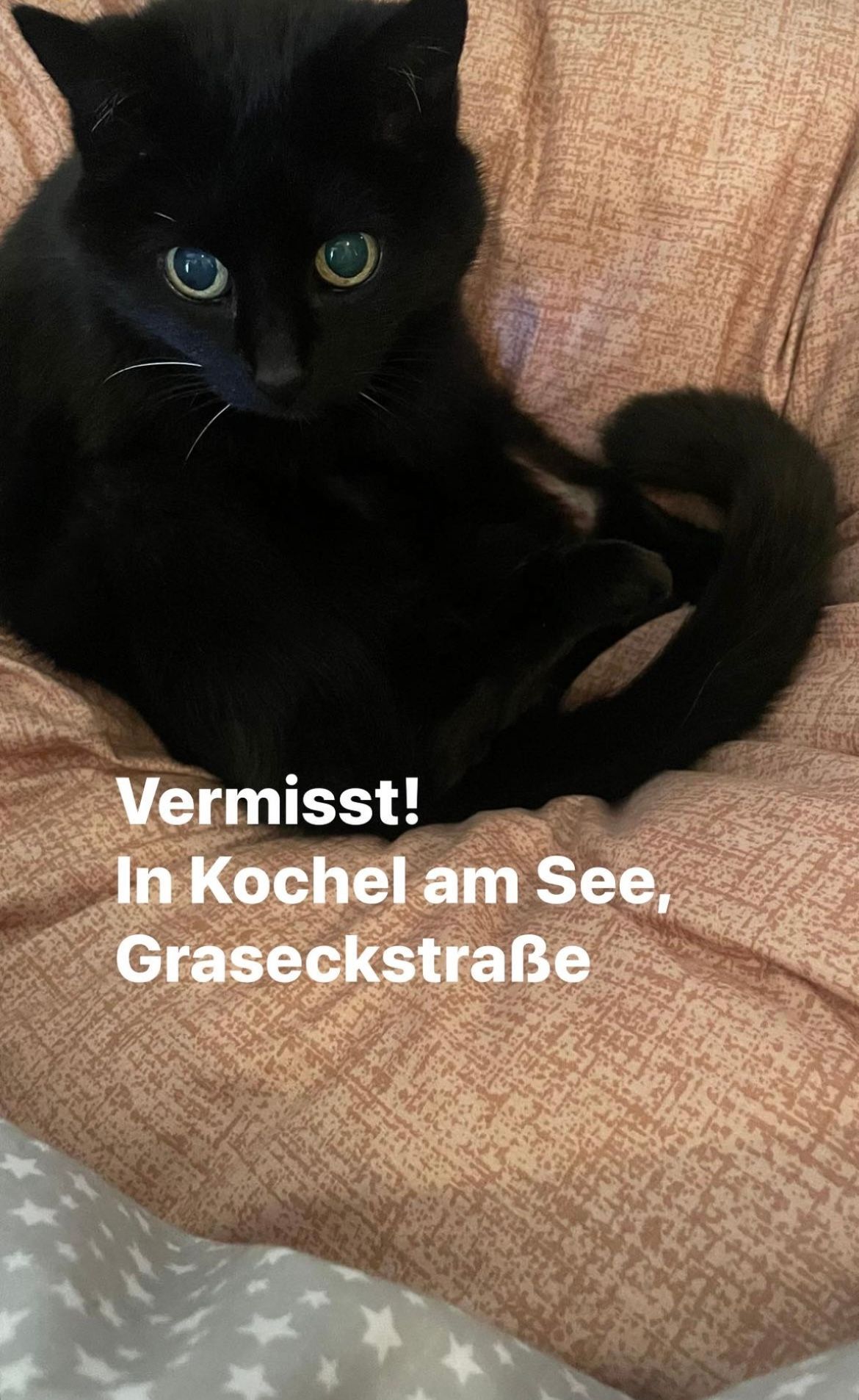 Mogli - Graseckstraße, Kochel am See