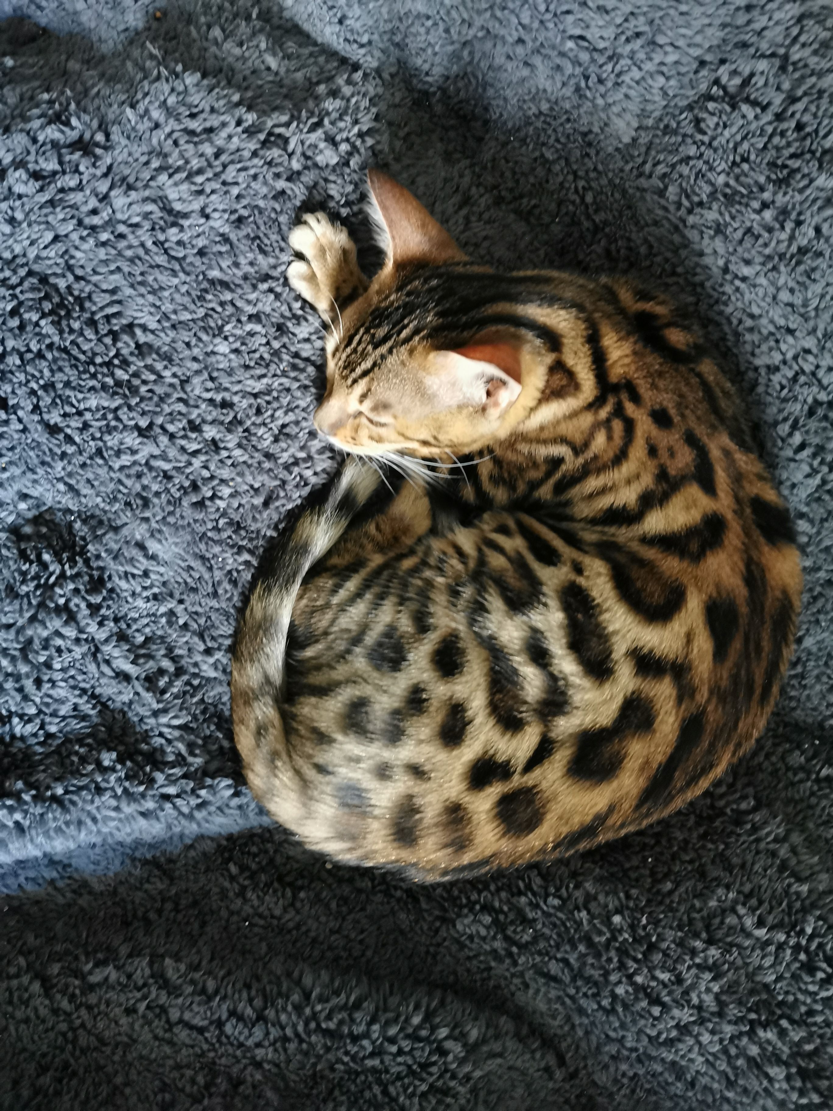 Zora - Rue De Besançon, Vuillafans