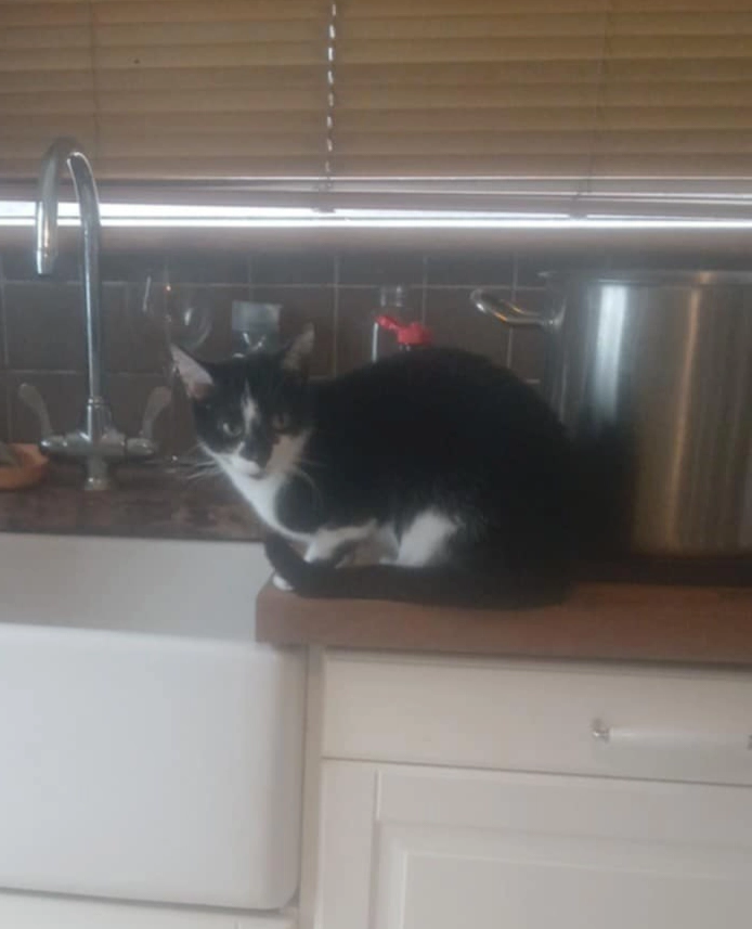 Kaine - Long Lane, Dublin