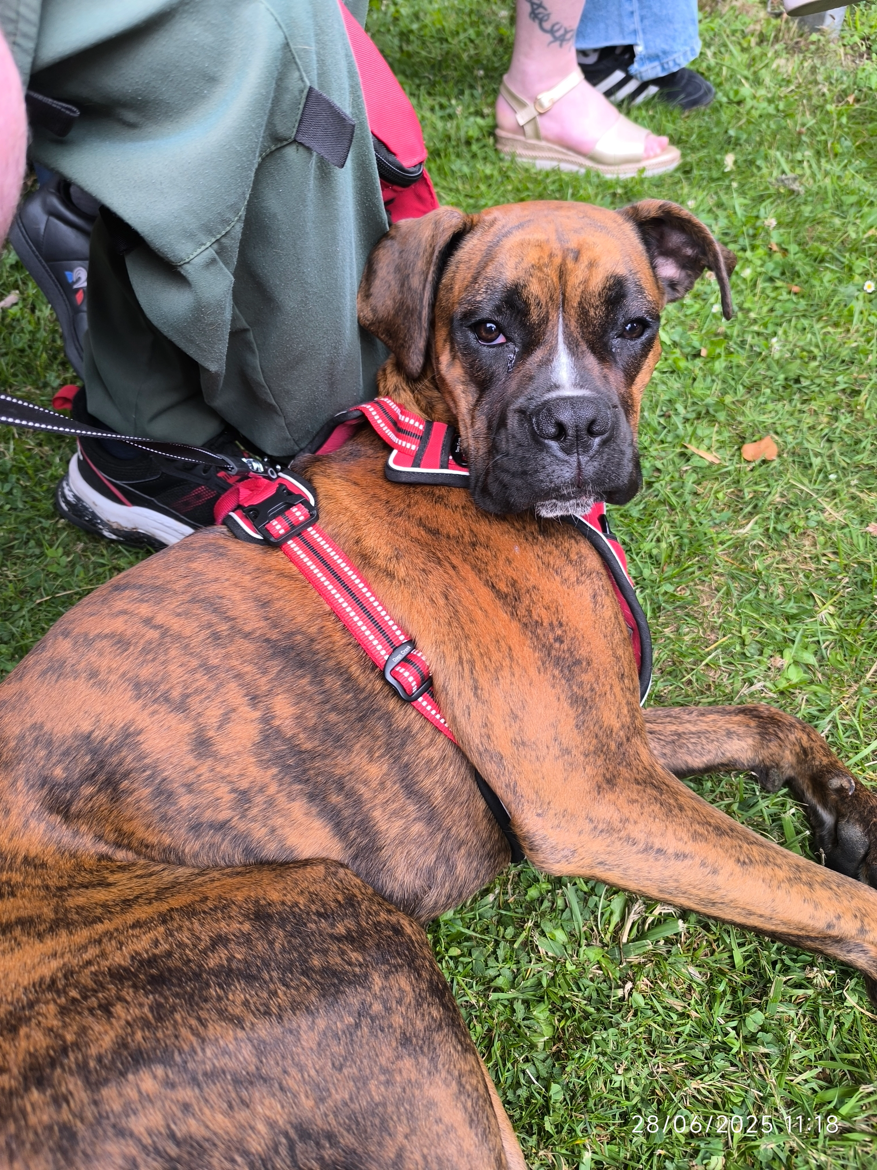 Vicky - Rue De L'aviation, Méaulte