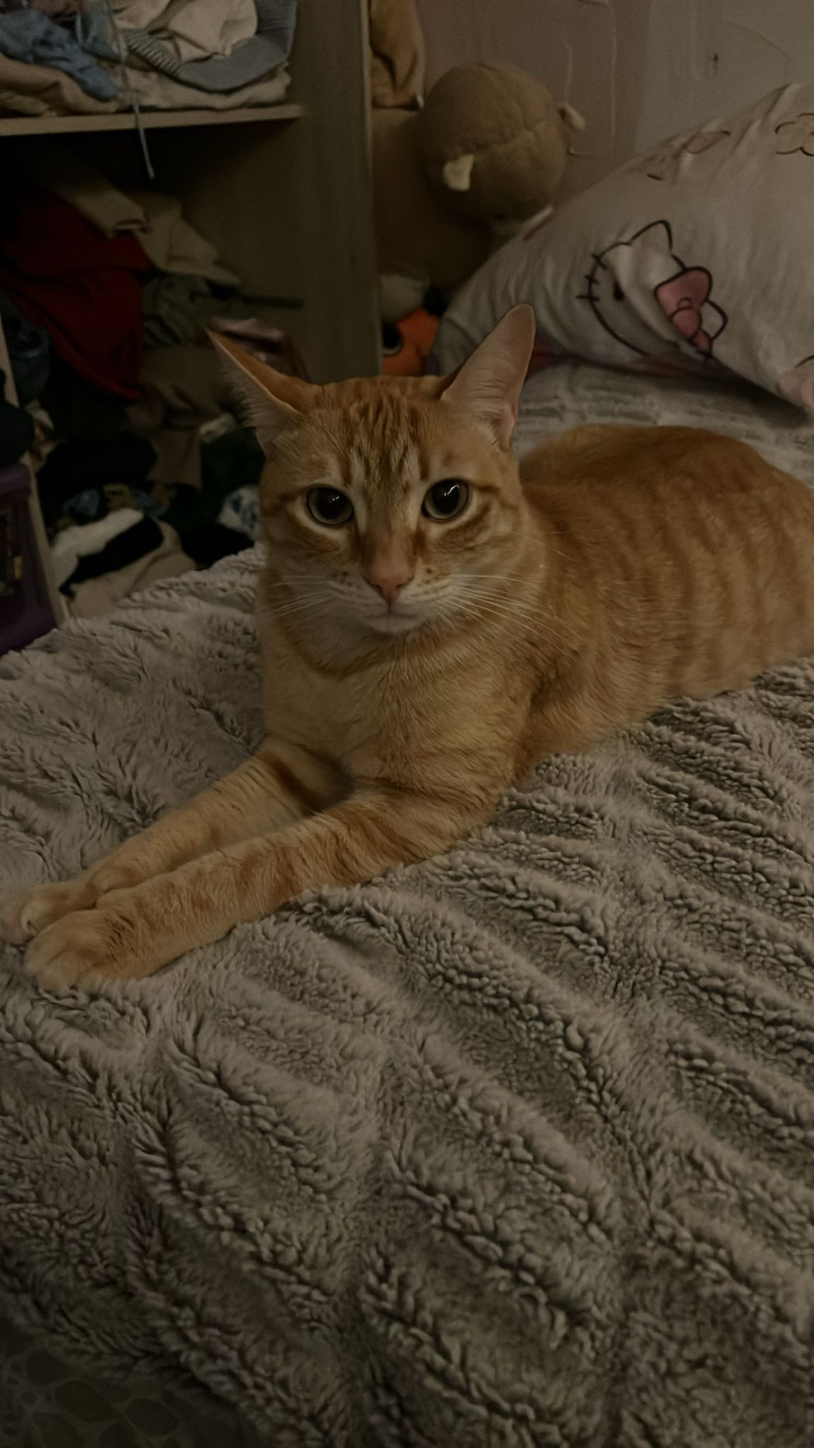 Yamks - Port Leucate, Leucate