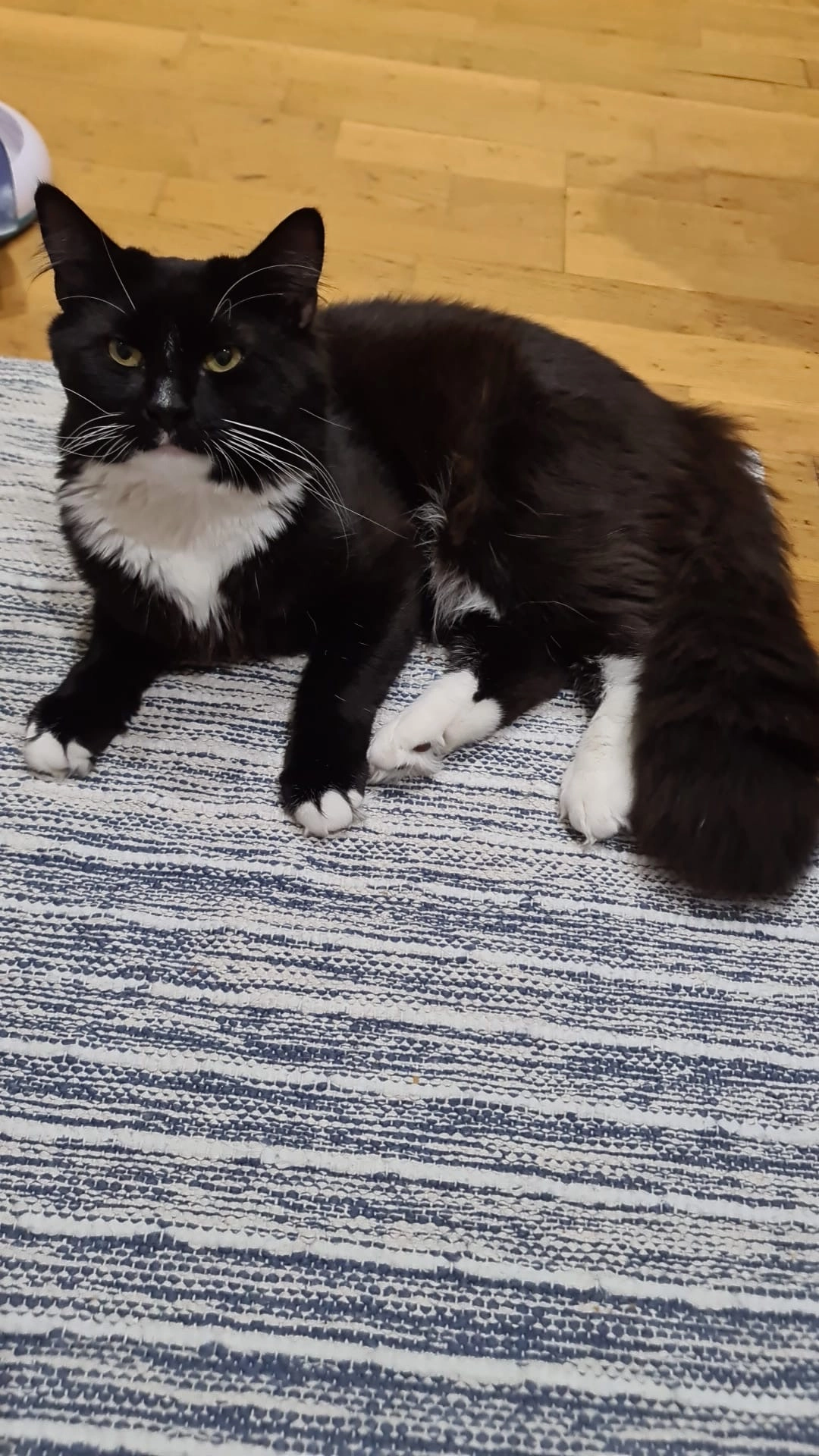 Milo - MK7 8, Milton Keynes