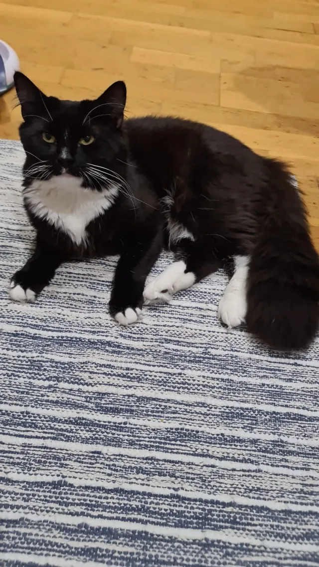 Milo - MK7 8, Milton Keynes