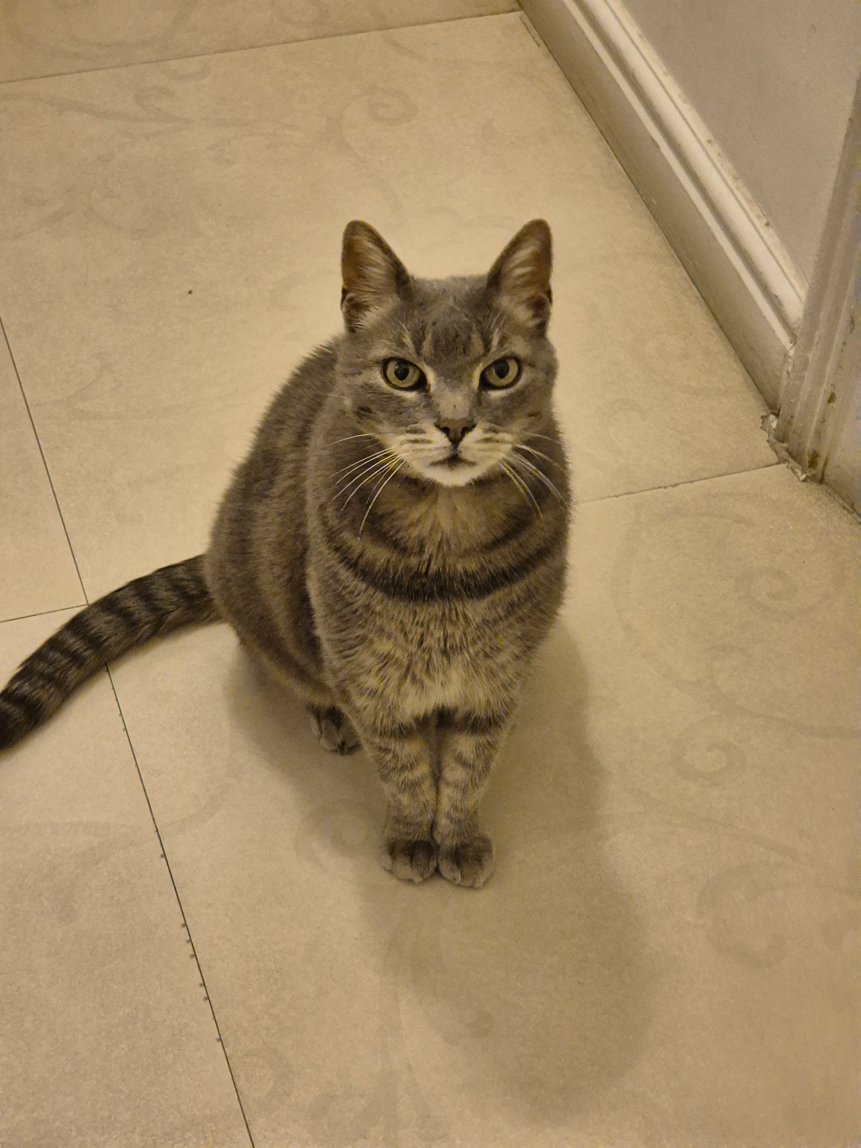 Slinky - Strada Popa Soare, Bucharest