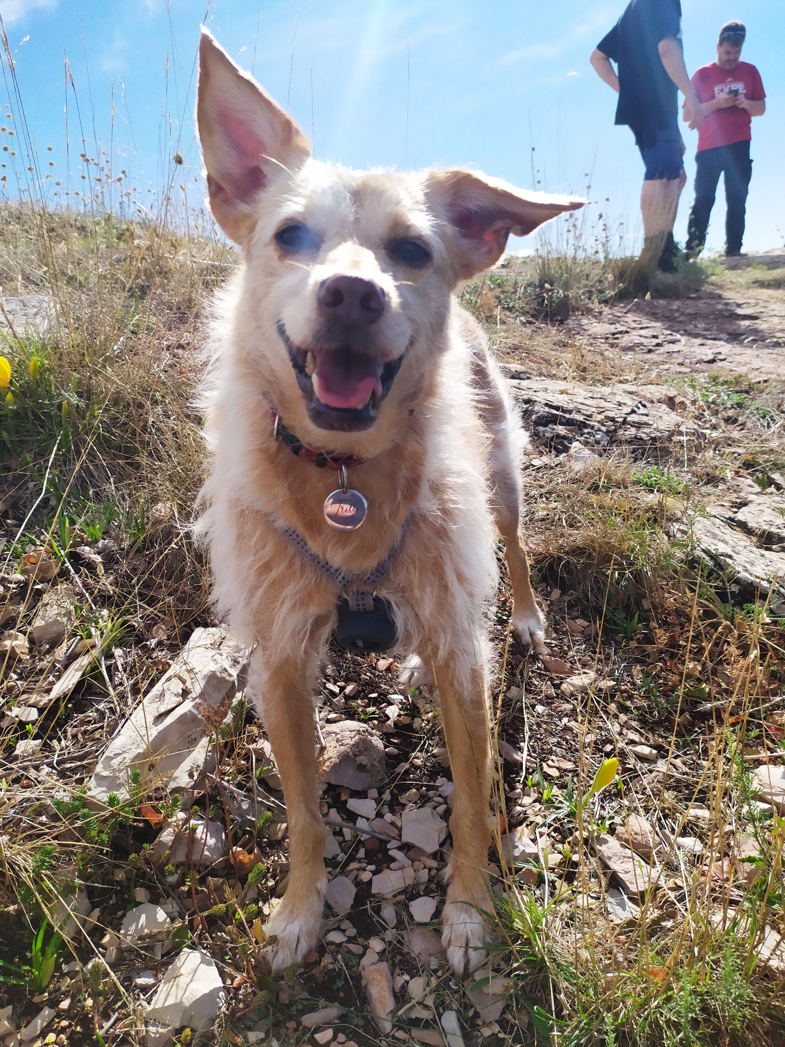 Trilli  - Via del Panorama, Perugia