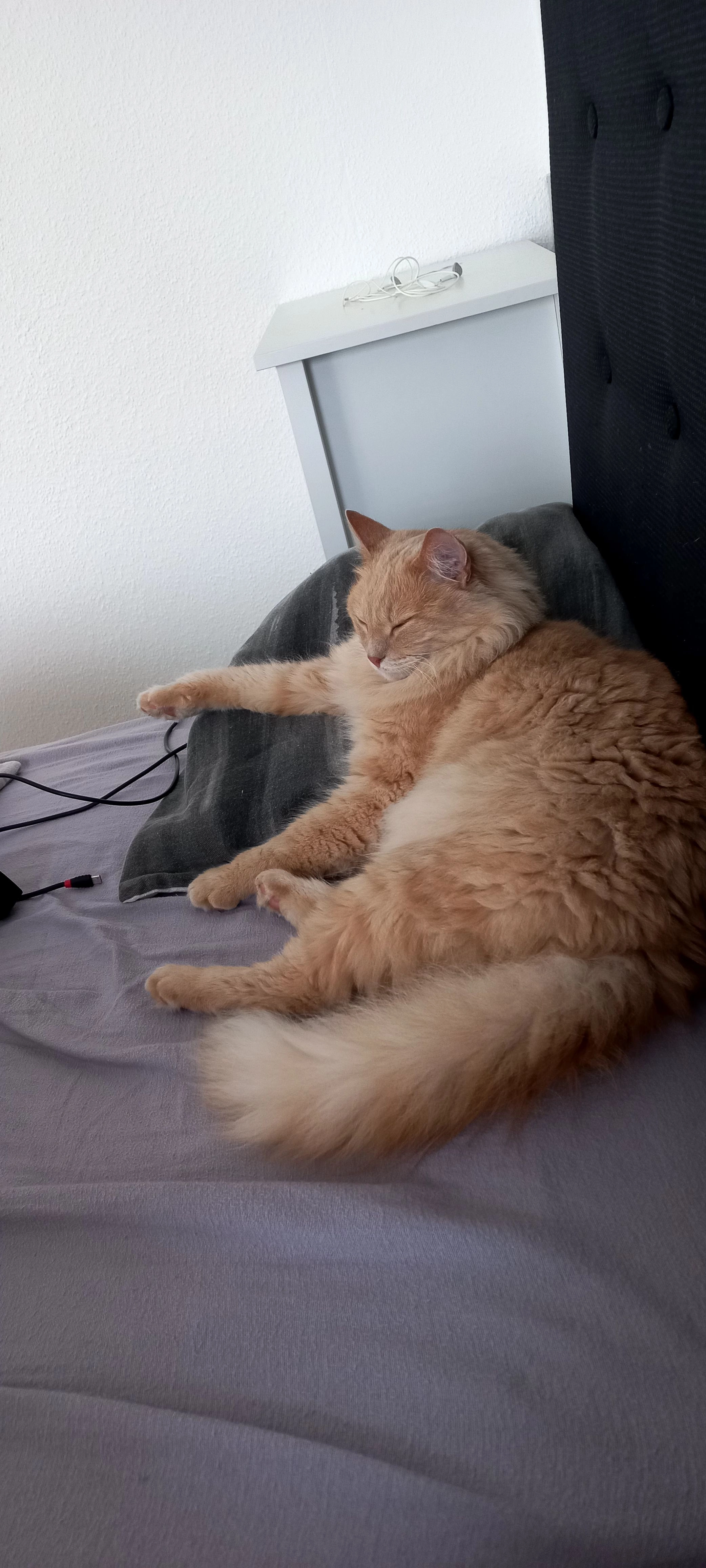 Nikita - Auf dem Kottenflürchen, Dierdorf