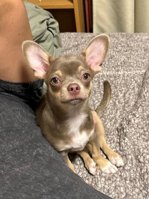 Leeloo - Wolska 171, Warszawa