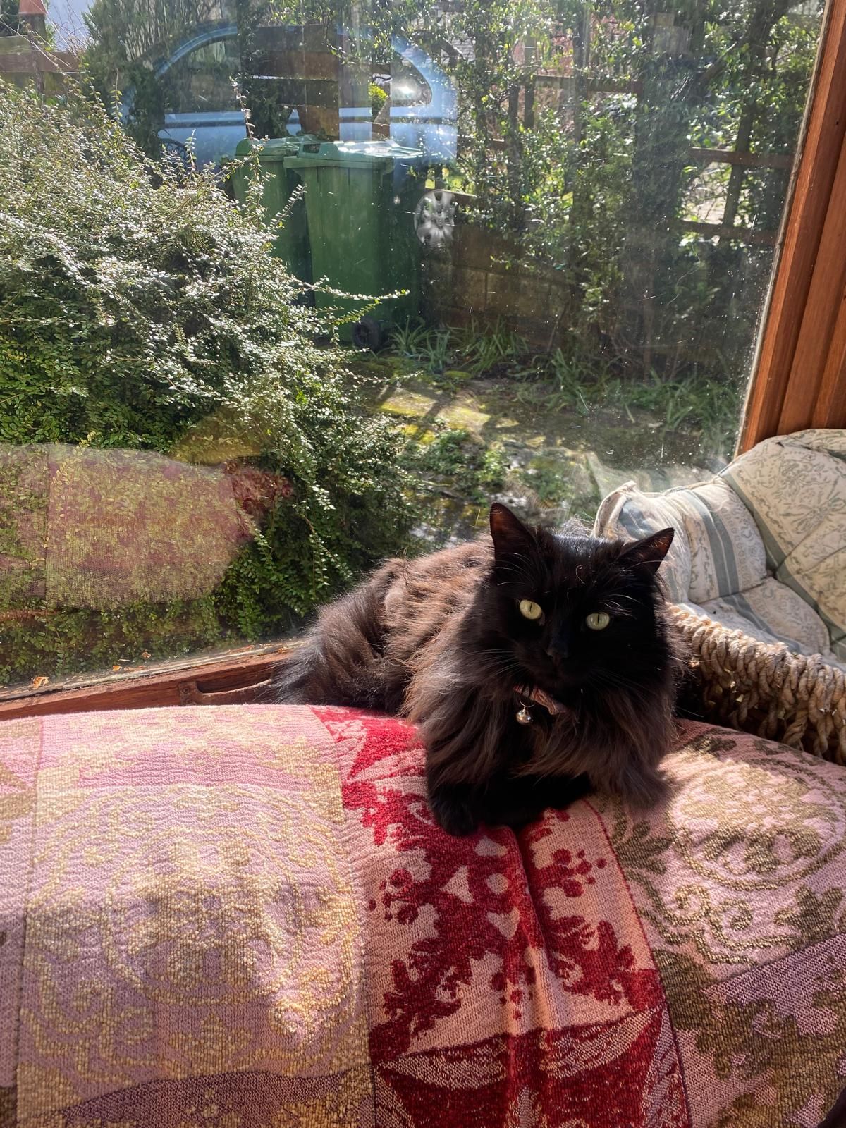 Mia - Lennox Avenue, Sidmouth