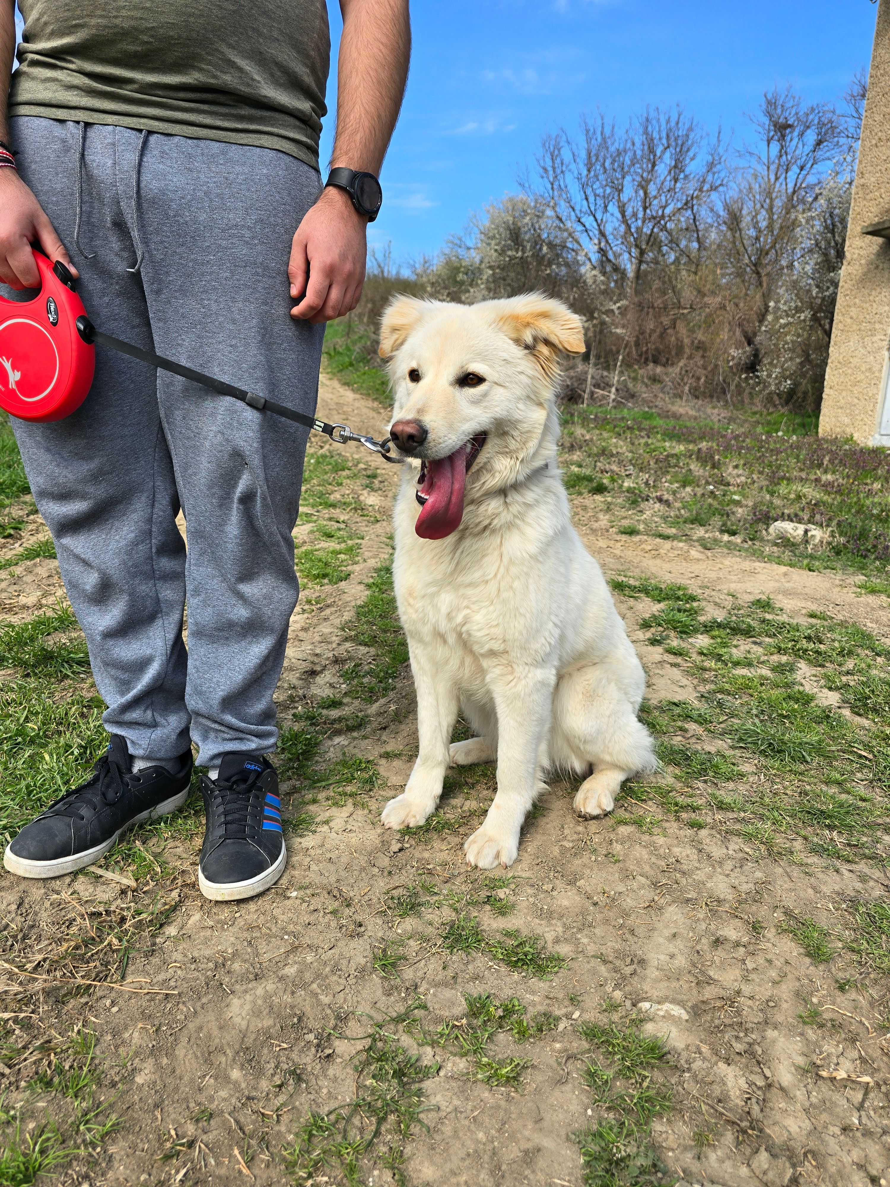 Pesho - ulitsa Sakar planina, Vetovo