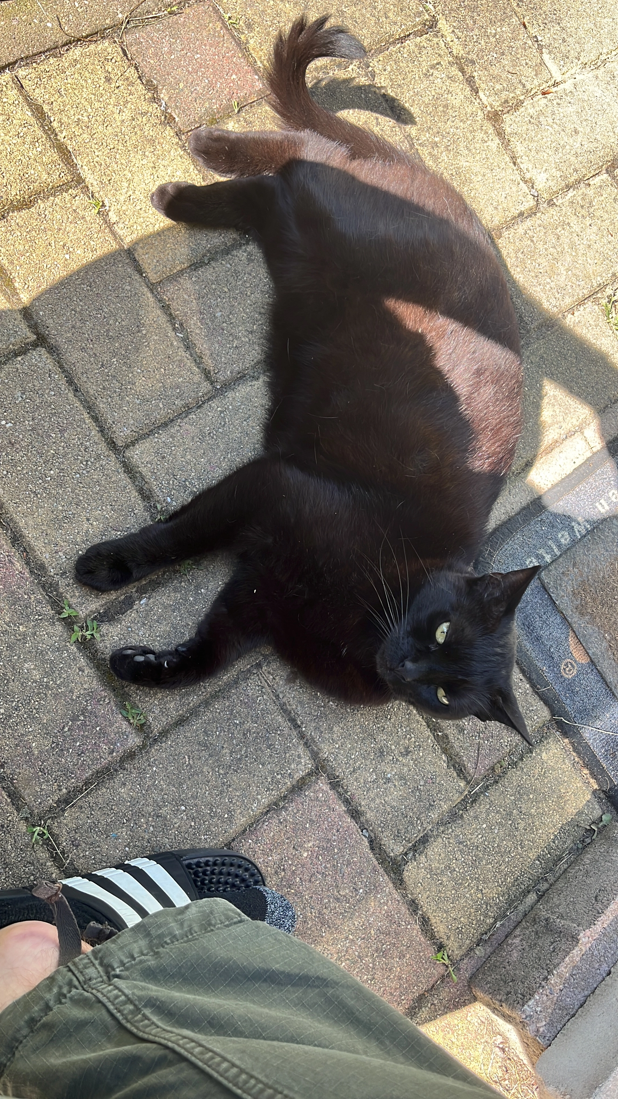 Schlinge - Straße Des Friedens, Wurzen