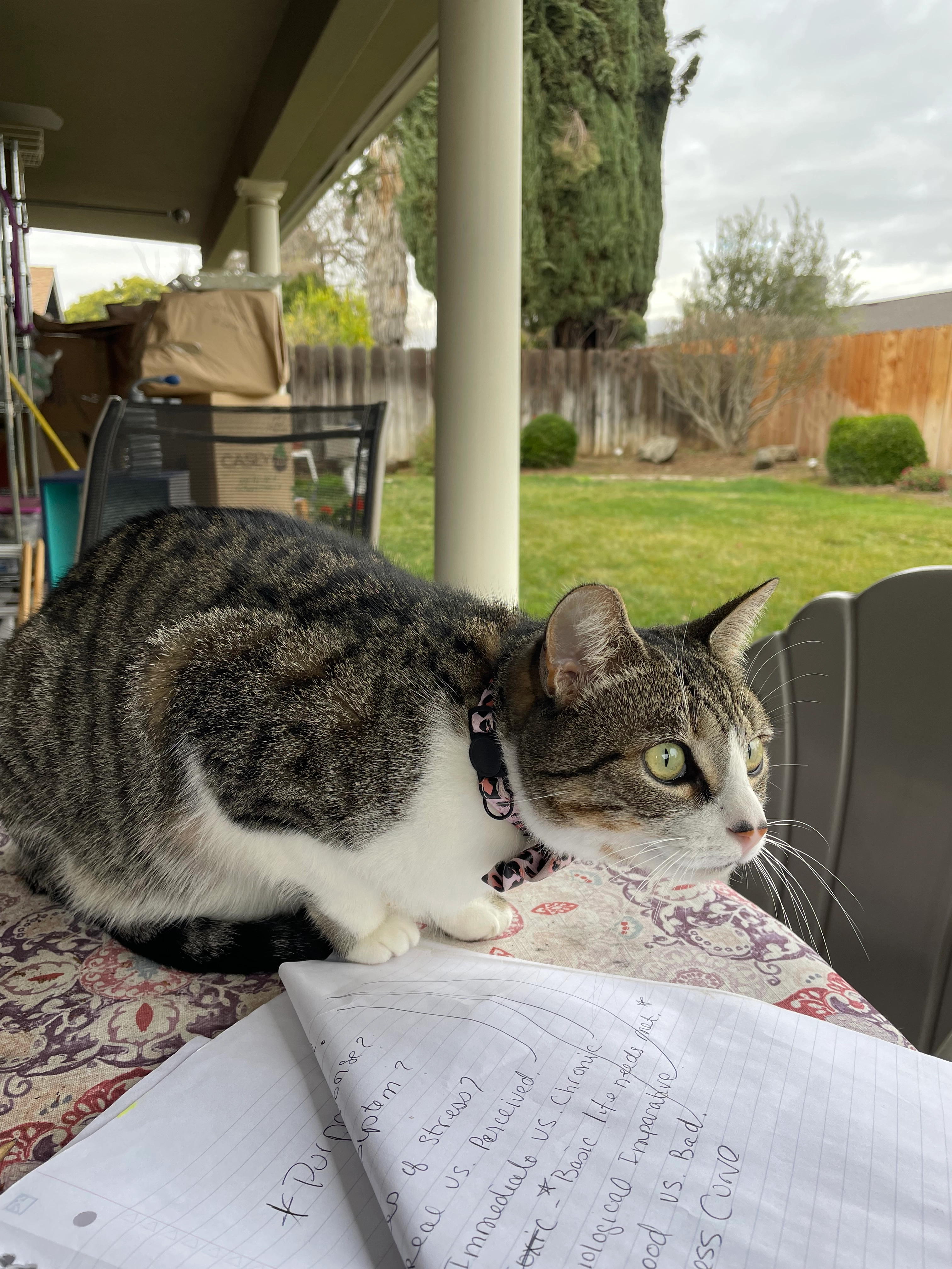 Lana - Strada Statale Settentrionale Sicula, Termini Imerese