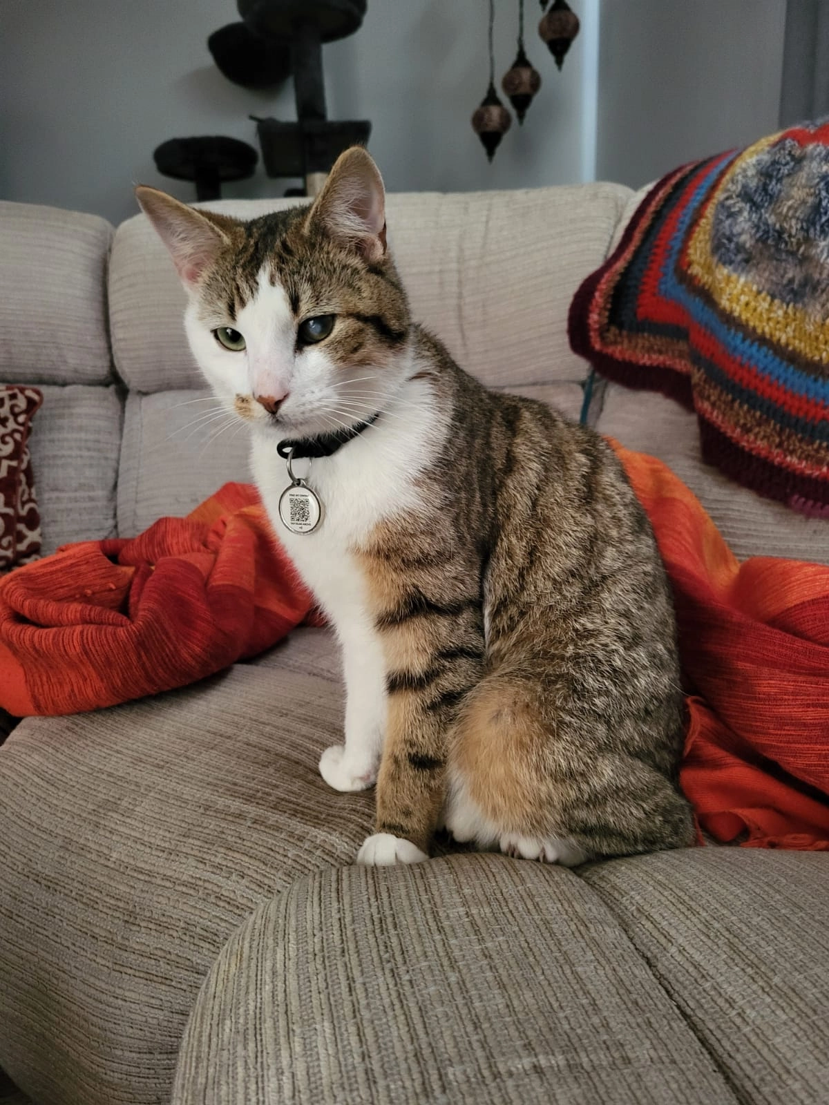 Rahja  - A67, Ashford