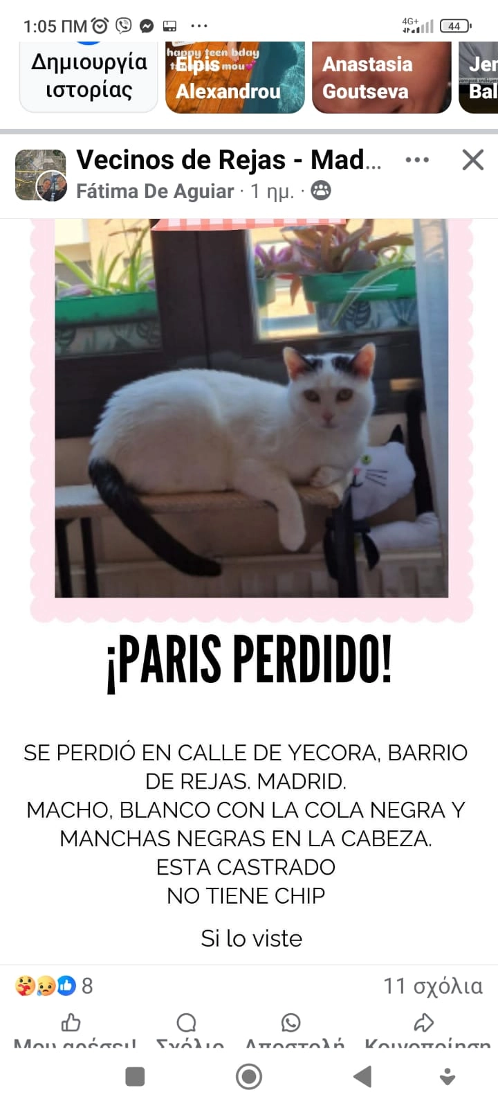 Paris - Avenida Del Invierno, Madrid