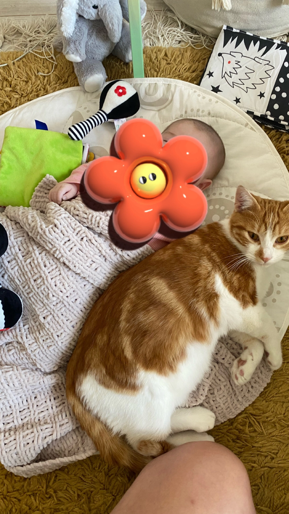 Mba  - 279 Chemin de Oxabiakoborda, Urrugne