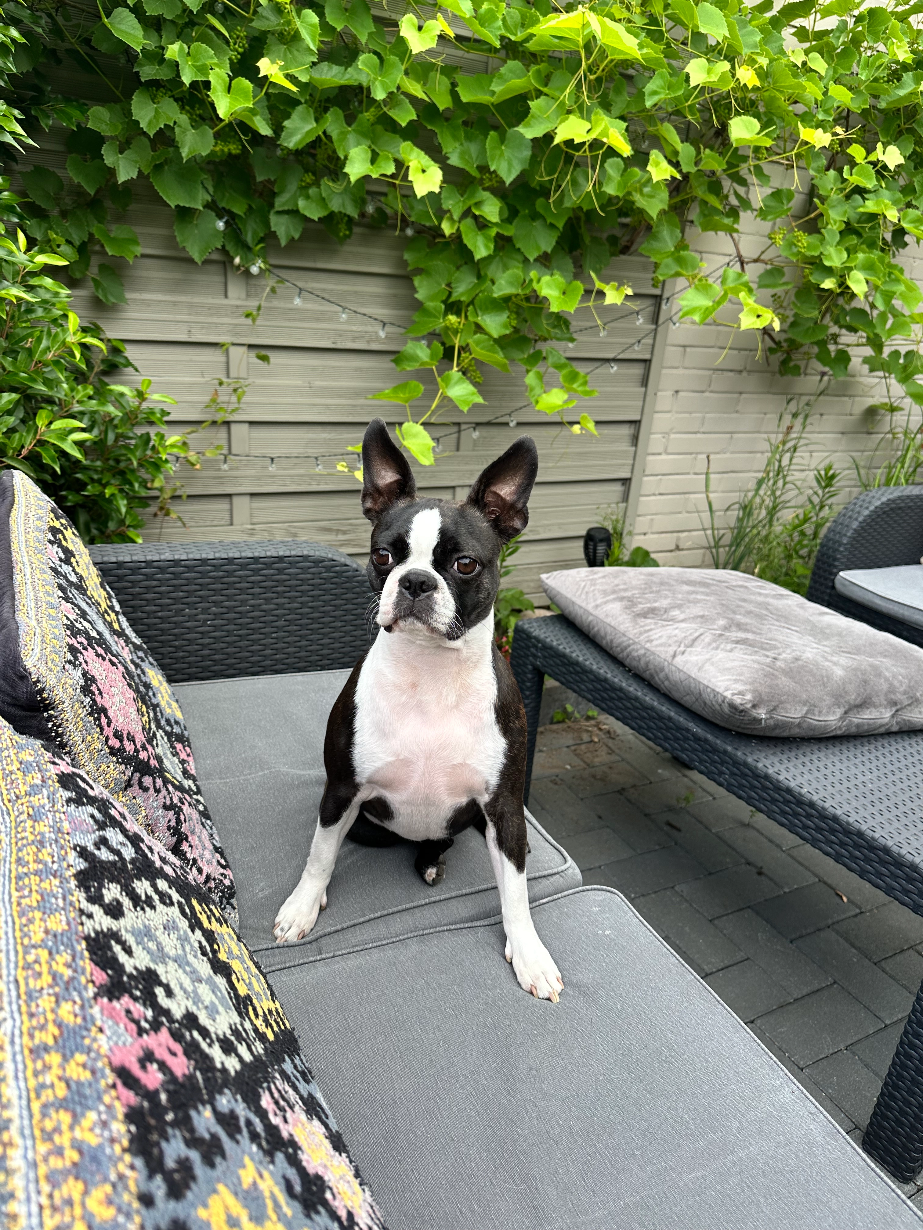 Mayla - Robert-Koch-Straße, Bremen