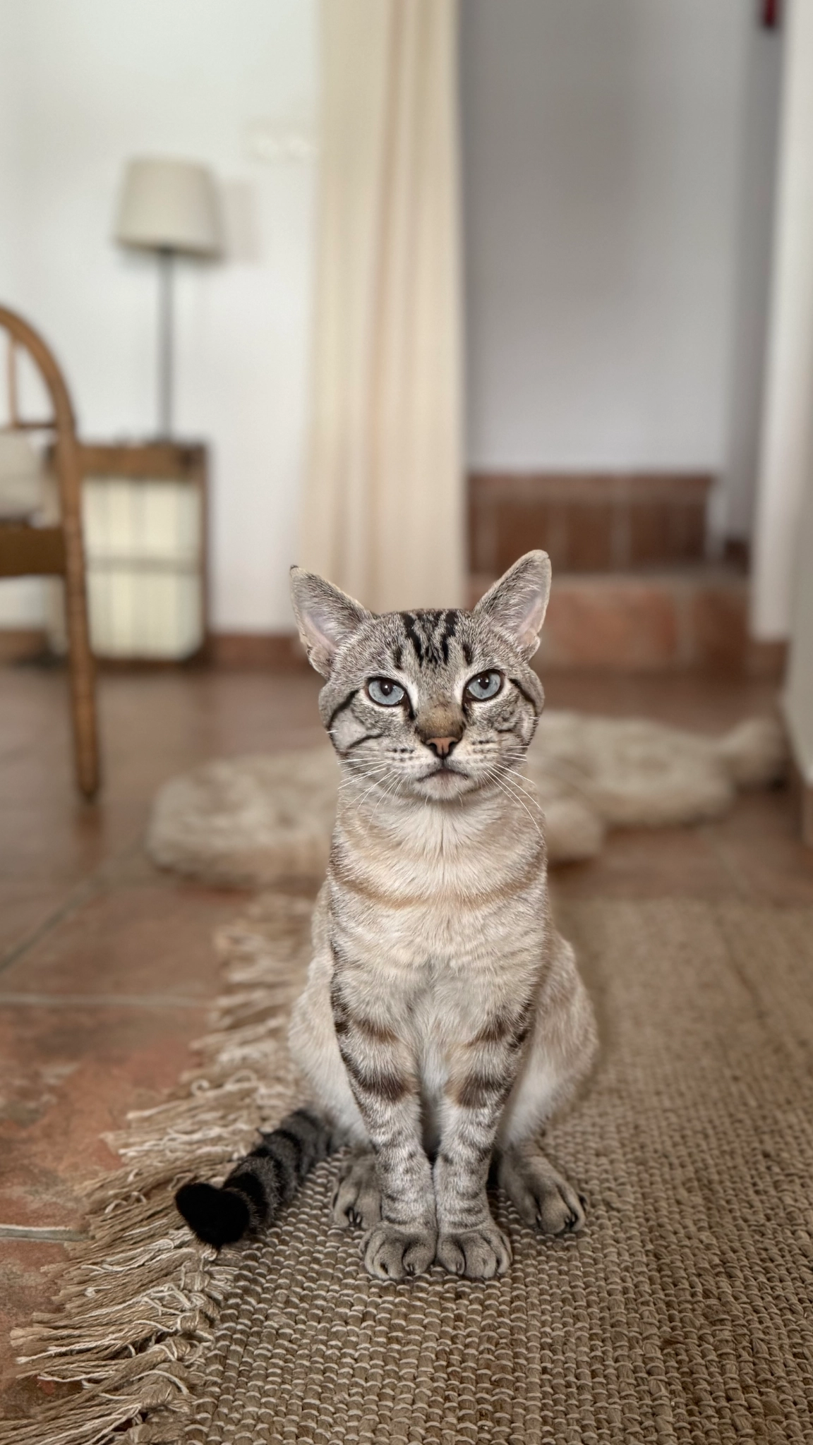 Bruno - Calle Cola, Nerja