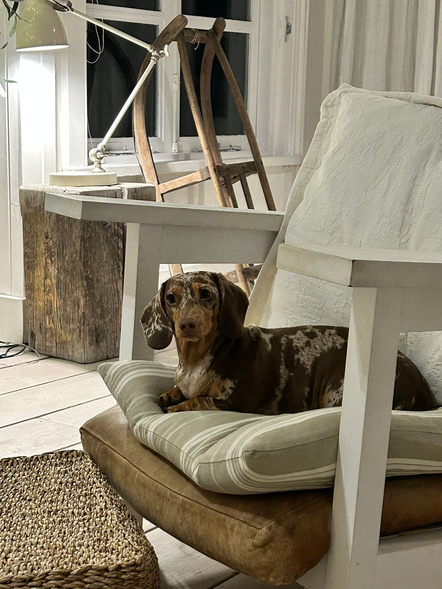 boola - BR7 6, Chislehurst