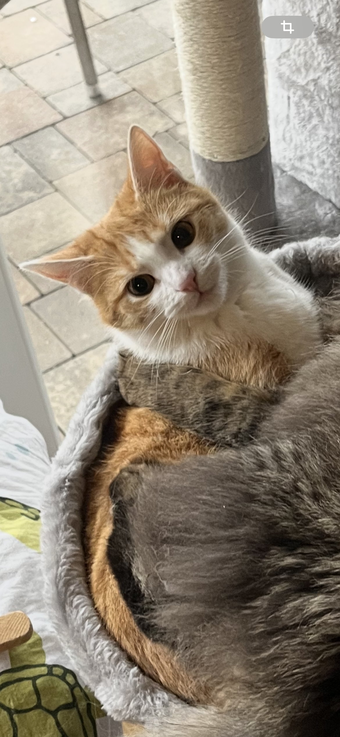 Milky - Mühlweg, Waldachtal