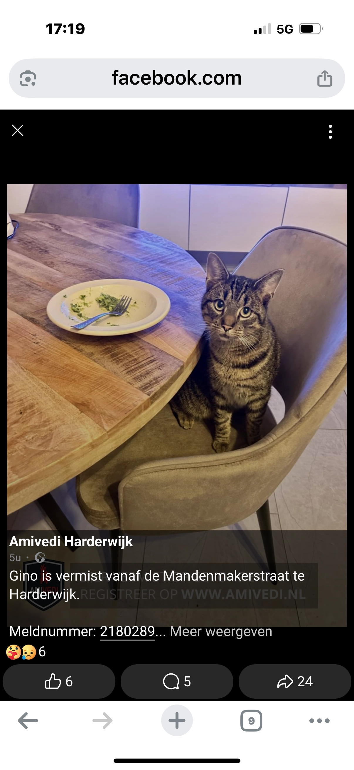 Gino - Mandenmakerstraat, 's-Gravenzande