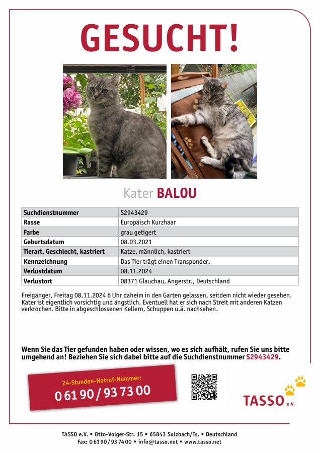 Balou - Angerstraße 8, Glauchau