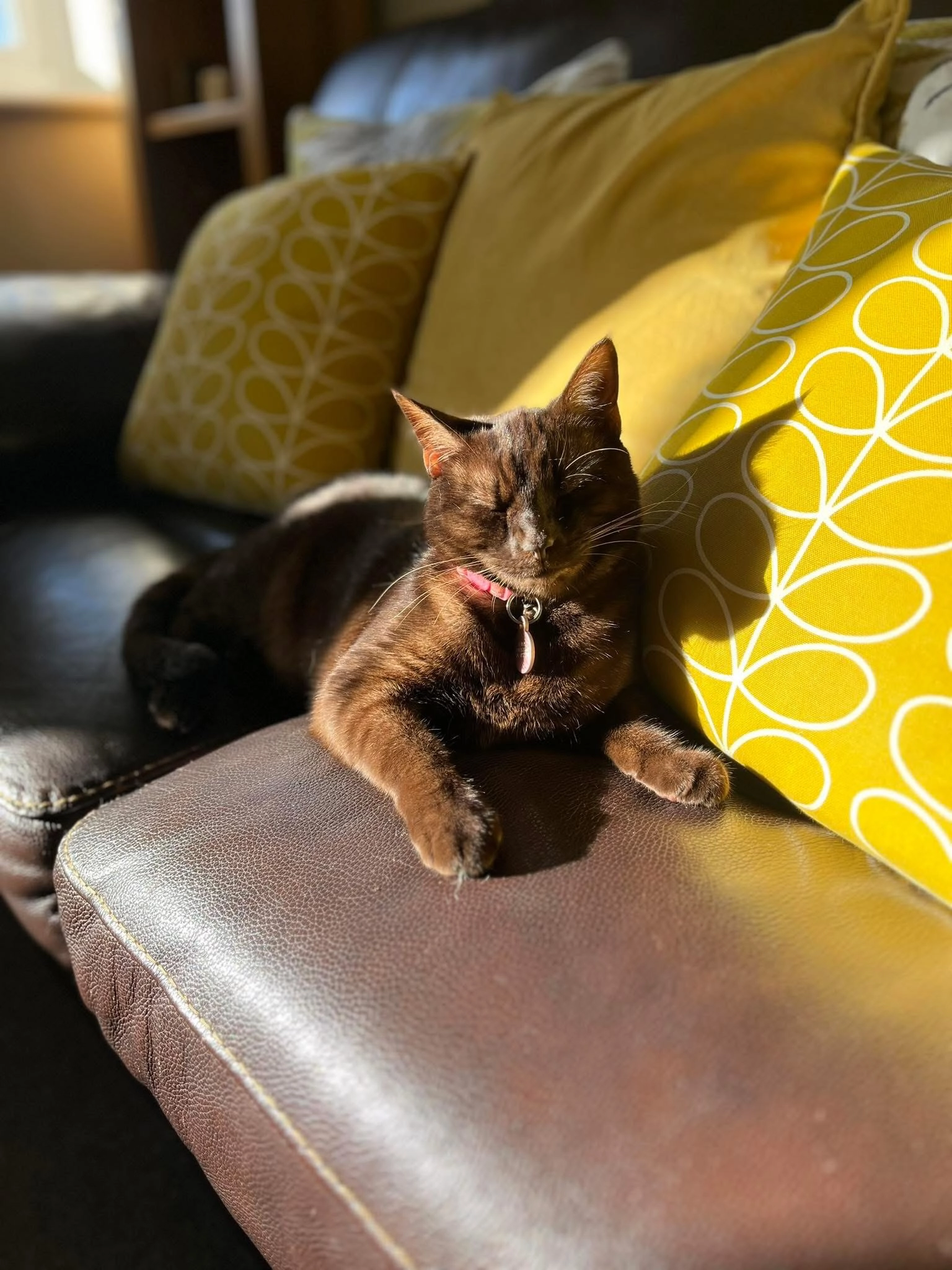 Luna - Pitt Street, Kidderminster