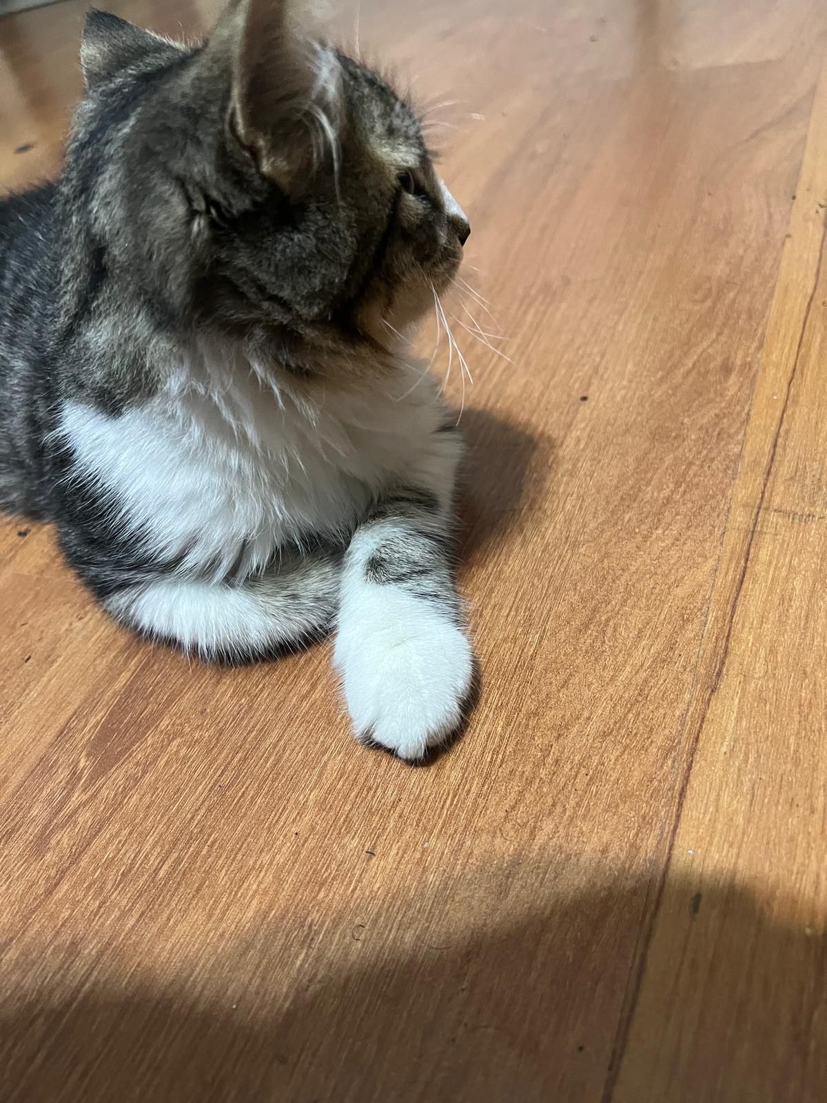 Marcus - 63. Sokak, Bornova