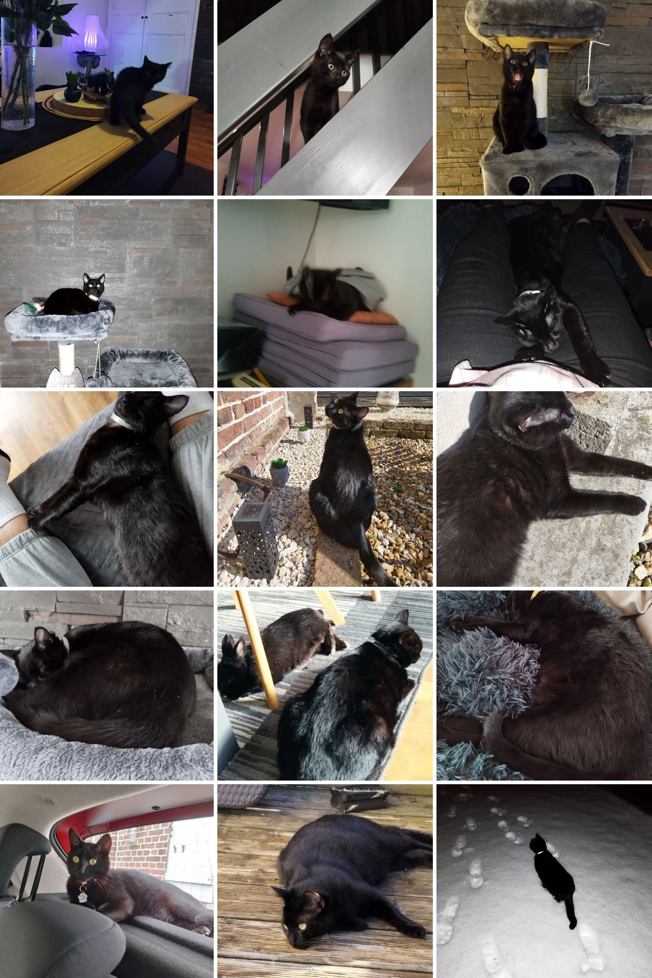 Tiebo - Rue Guy Patin, Berneuil-en-Bray