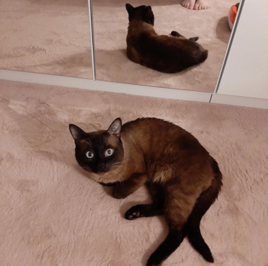 Bima - Ravensberger Straße, Wolfenbüttel